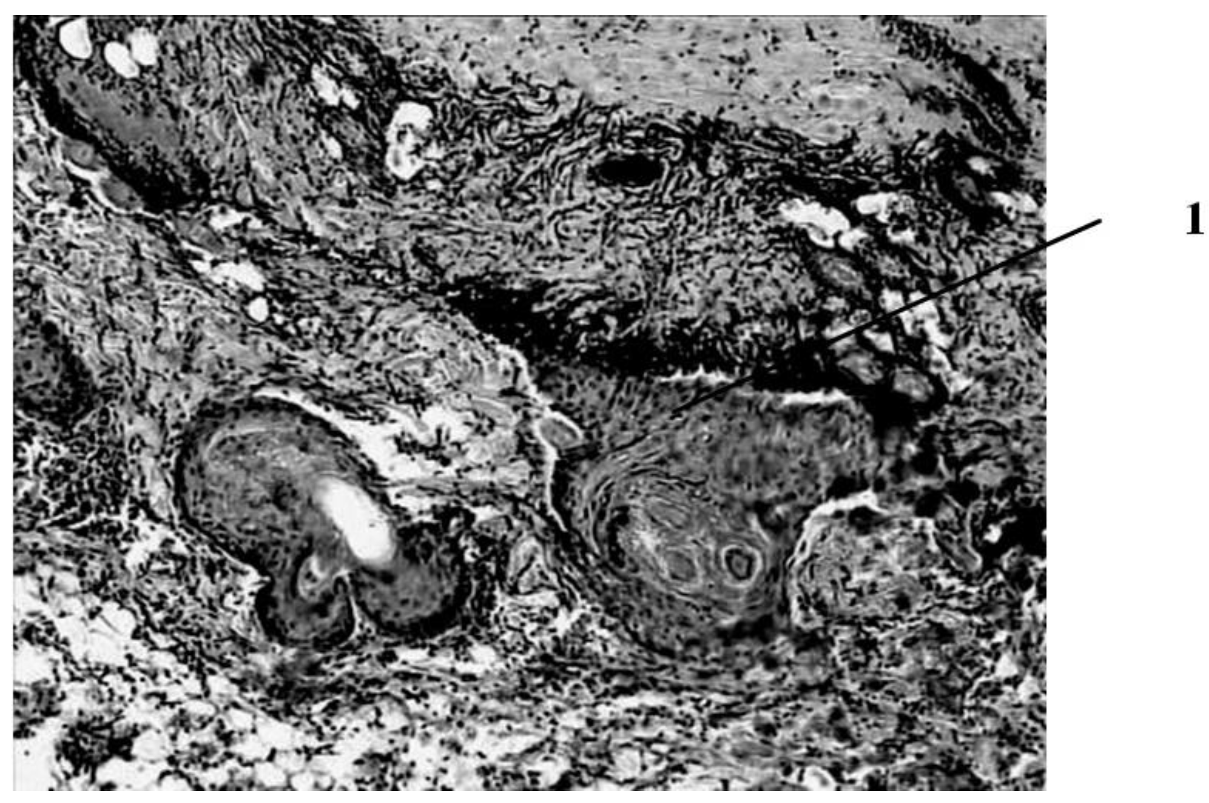 Applsci 12 07638 g005