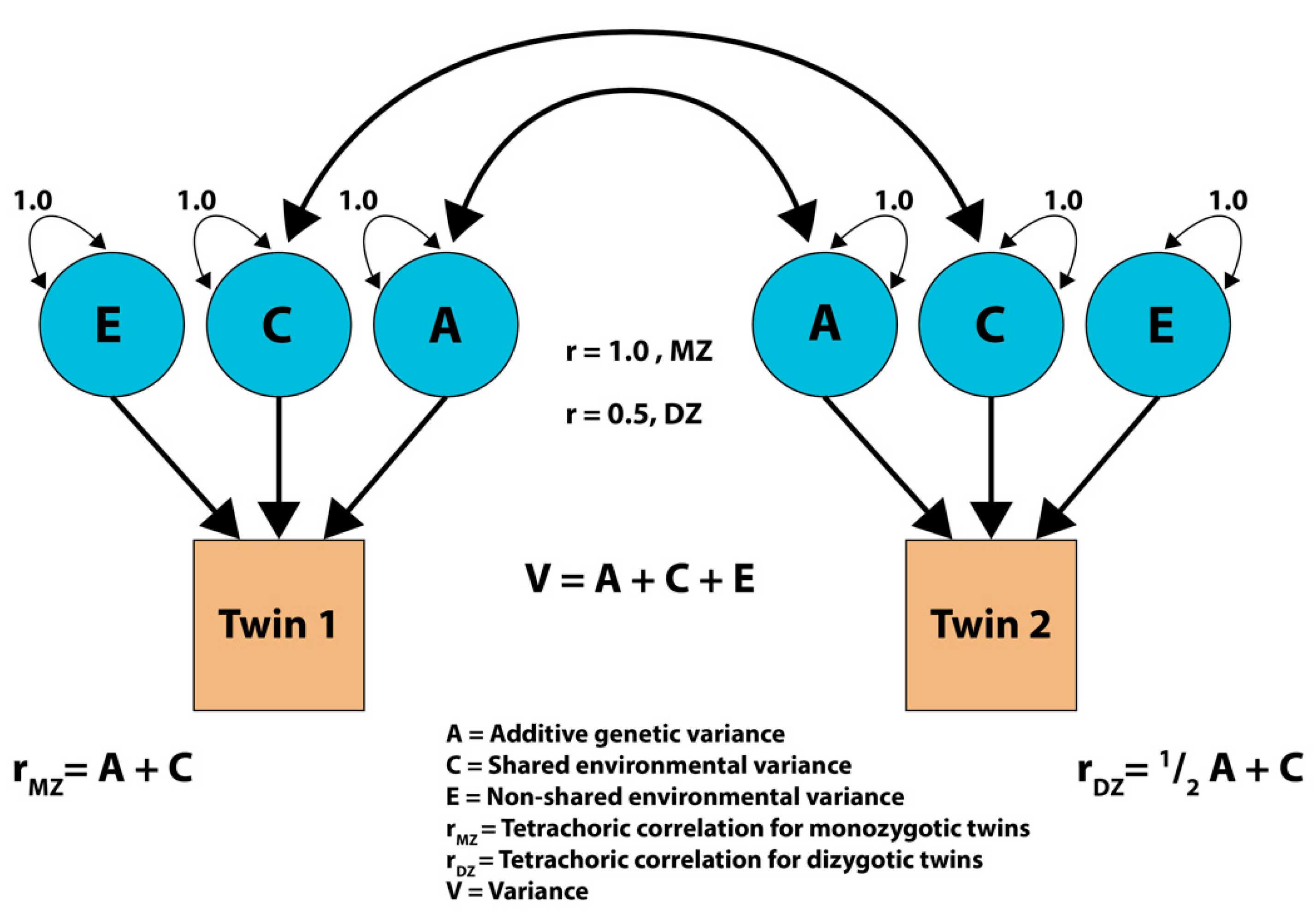 Applsci 12 07646 g006