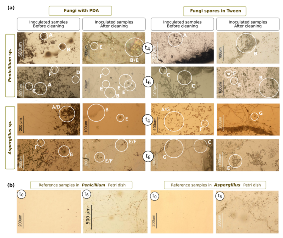 Applsci 12 07672 g002