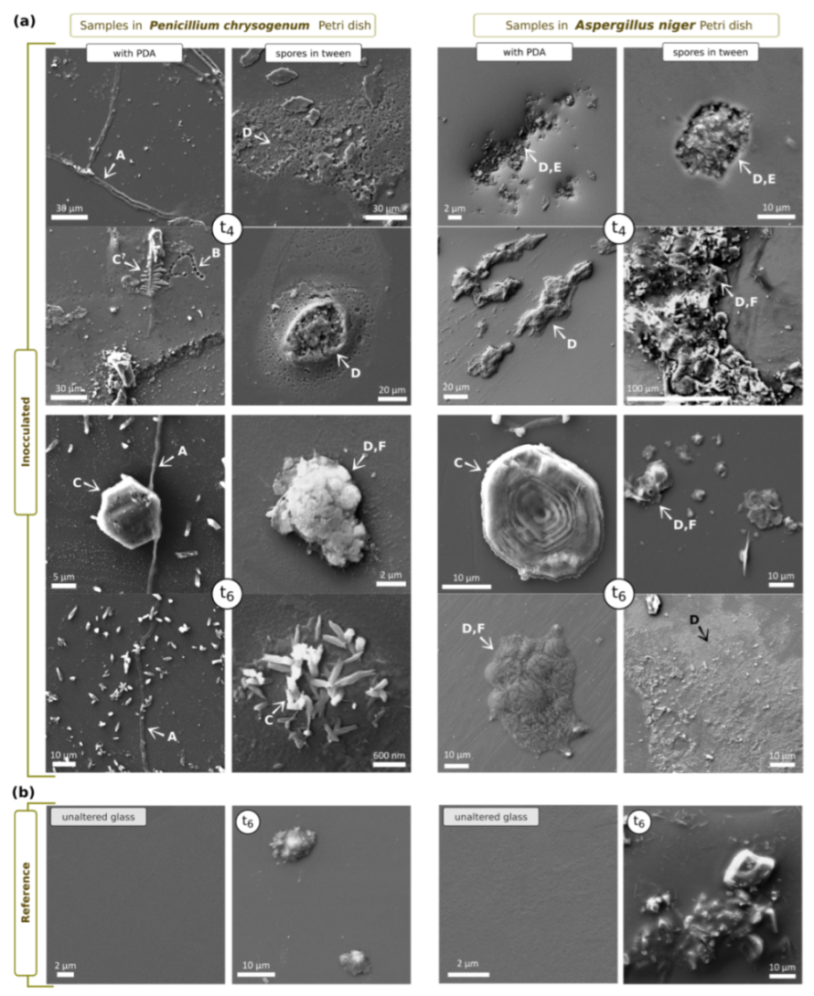 Applsci 12 07672 g003