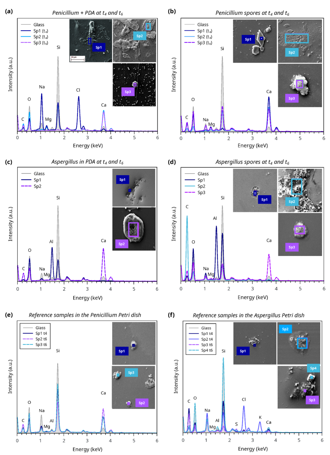 Applsci 12 07672 g004