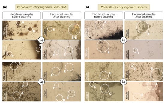 Applsci 12 07672 g0a2