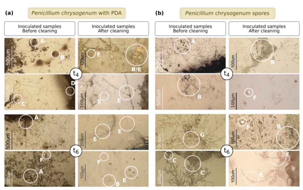 Applsci 12 07672 g0a2