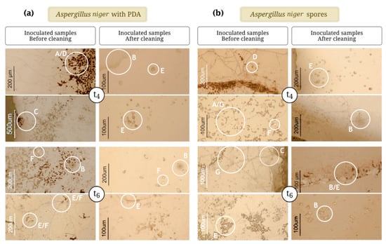 Applsci 12 07672 g0a3