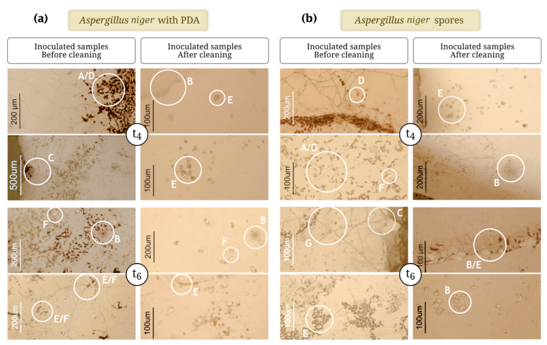 Applsci 12 07672 g0a3