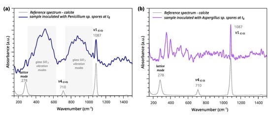 Applsci 12 07672 g0a4