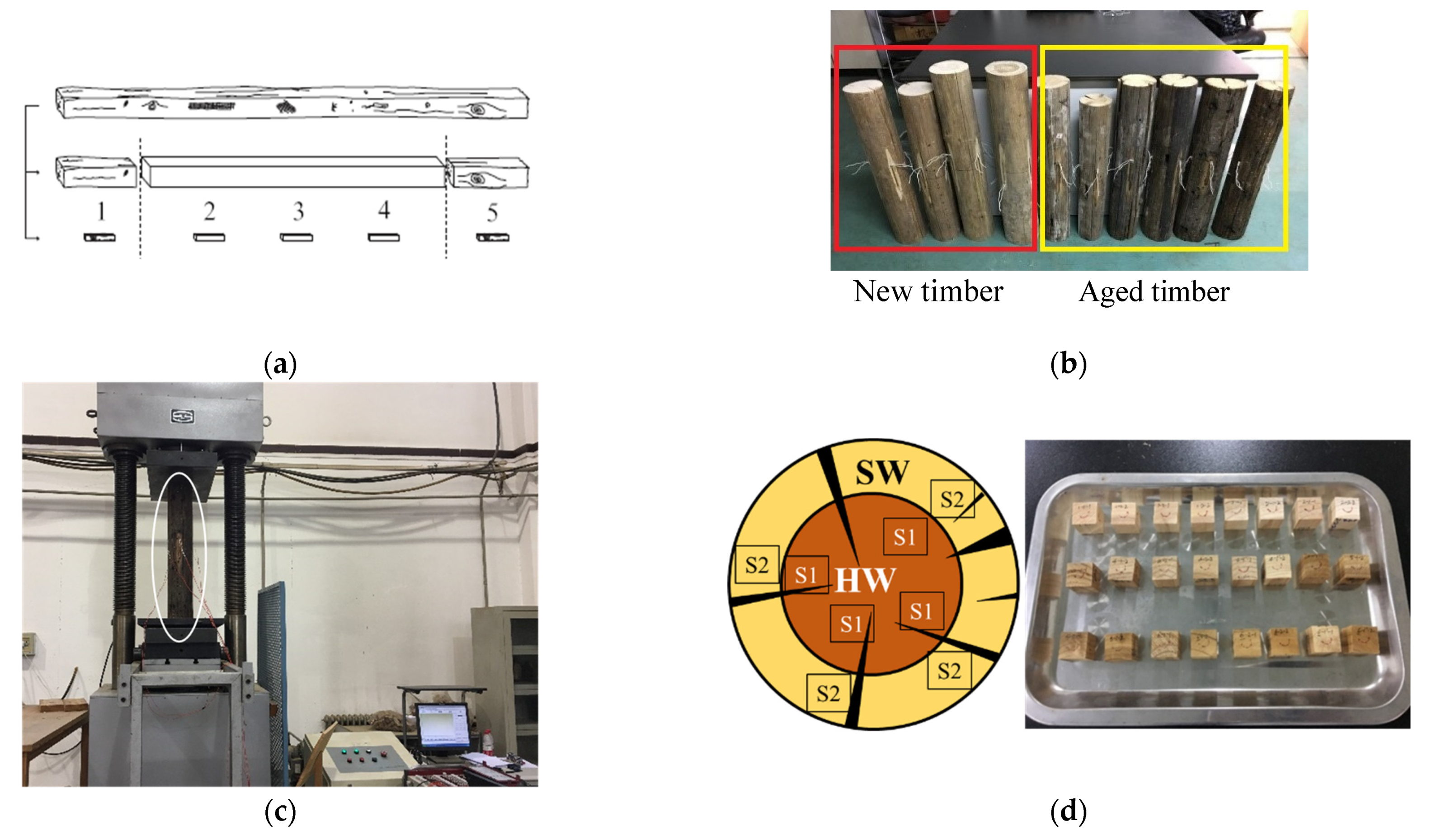 Applsci 12 07719 g004