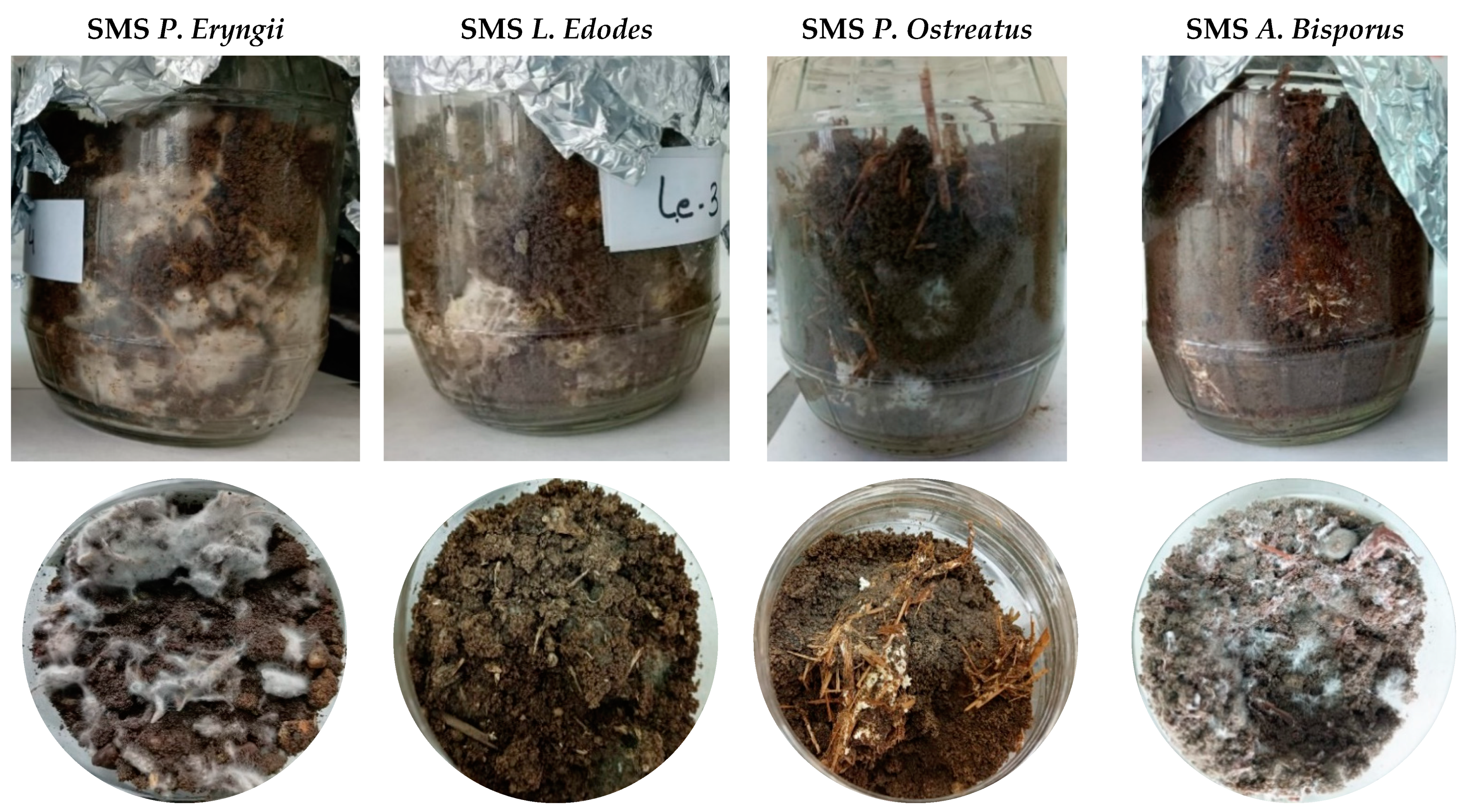 Applsci 12 07720 g001