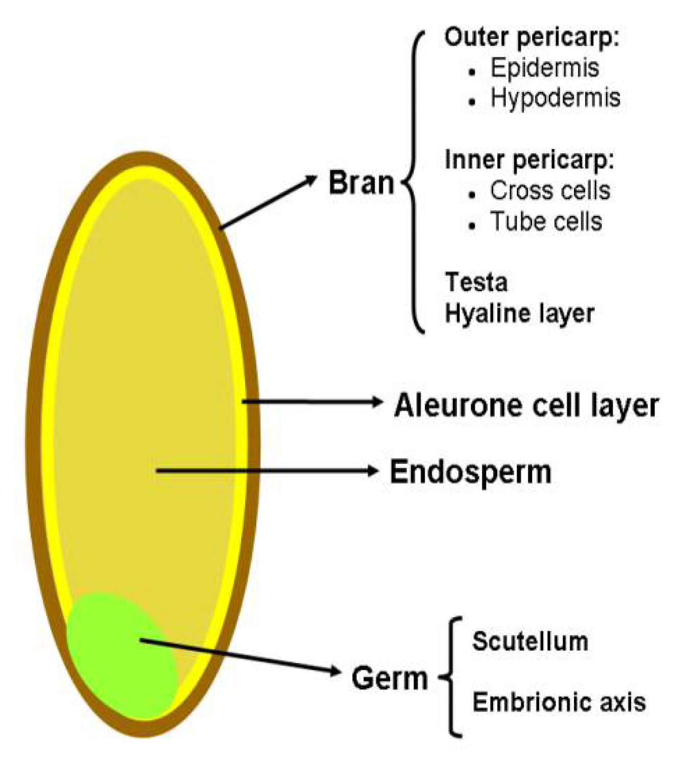 Applsci 12 07735 g001