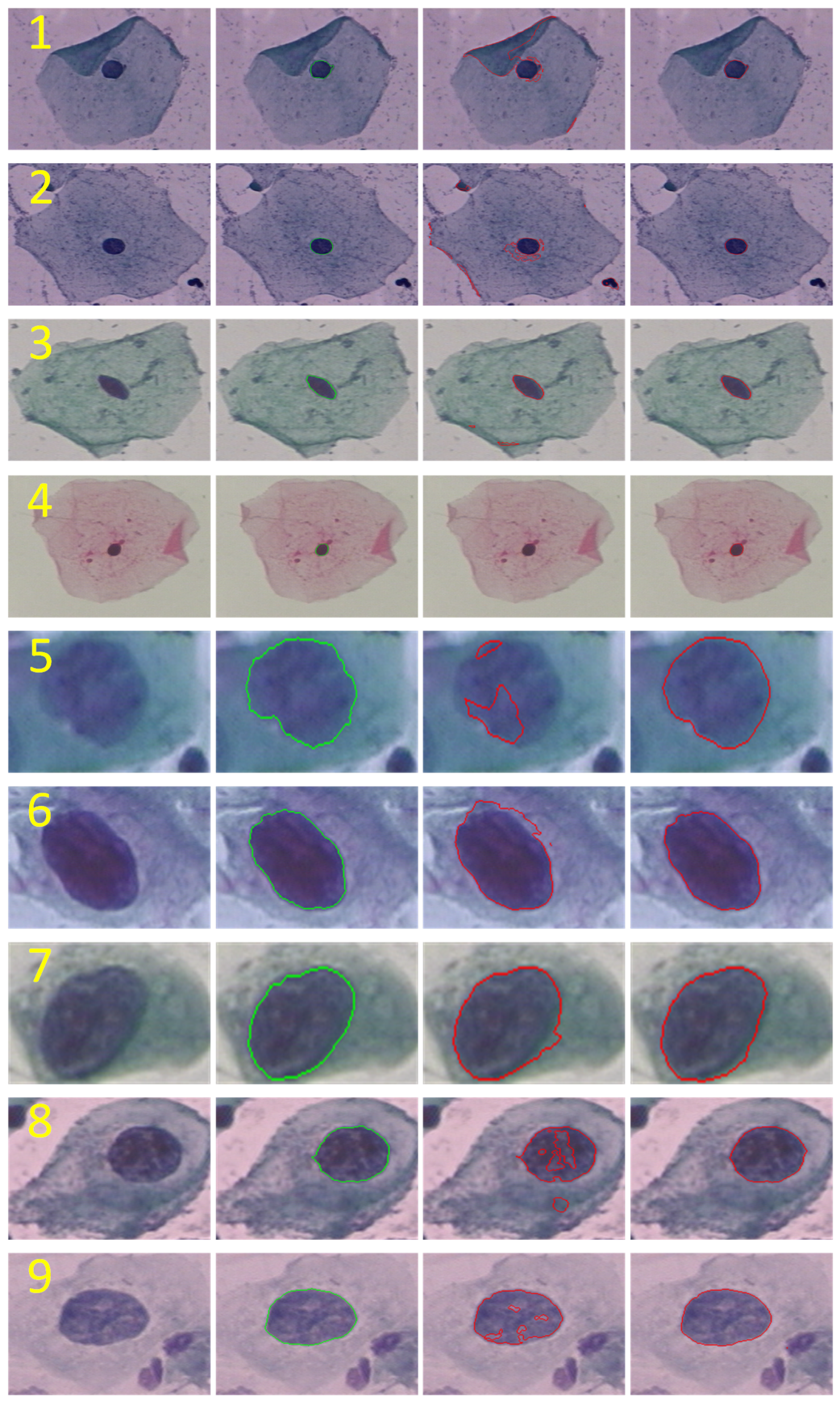 Applsci 12 07742 g008