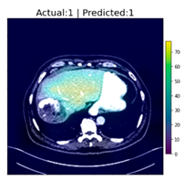 Applsci 12 07748 i010