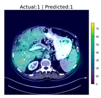 Applsci 12 07748 i016