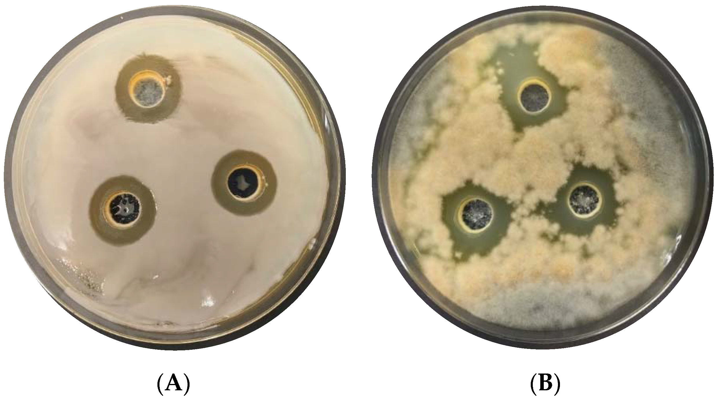 Applsci 12 07763 g005