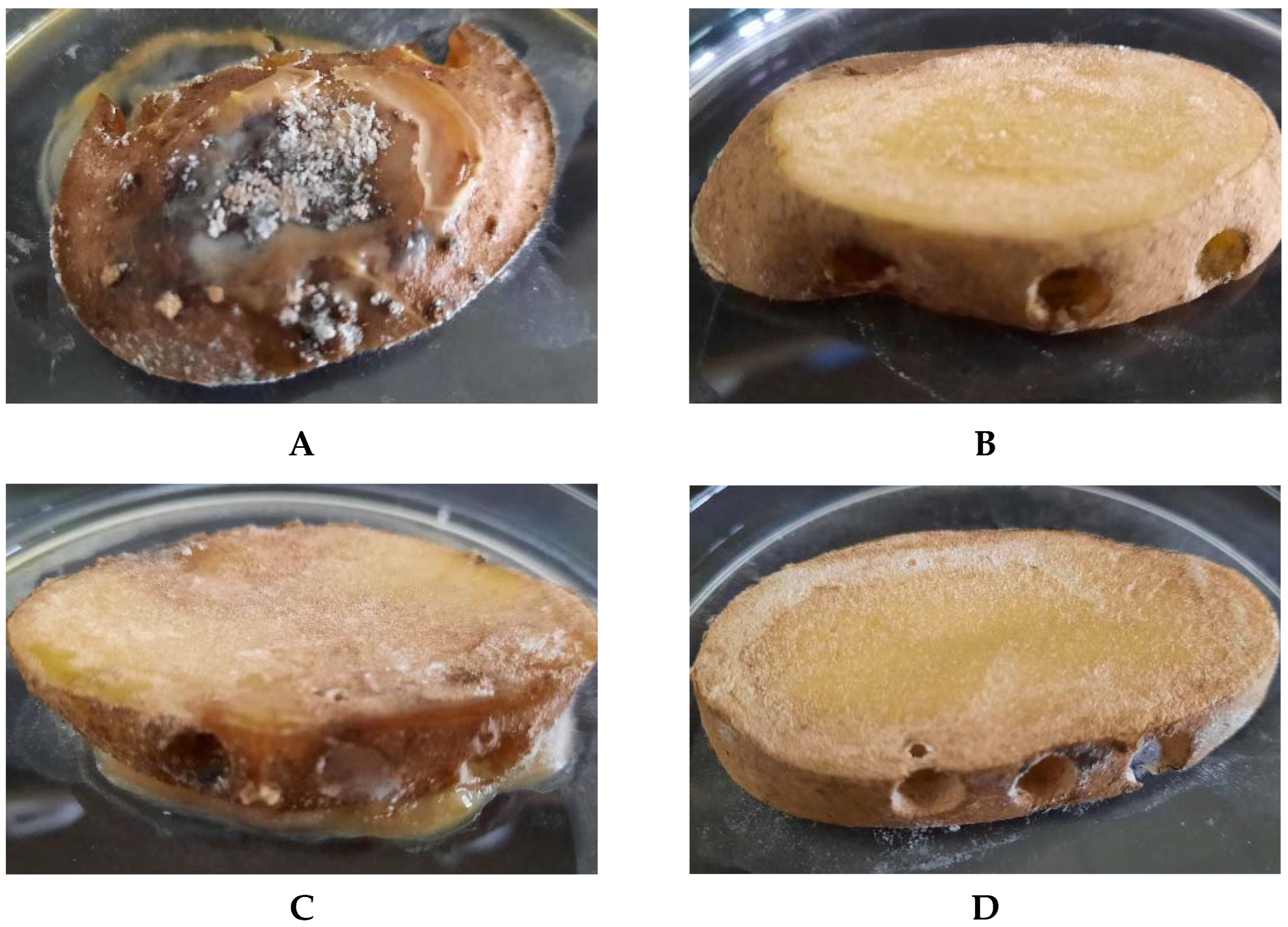 Applsci 12 07763 g008