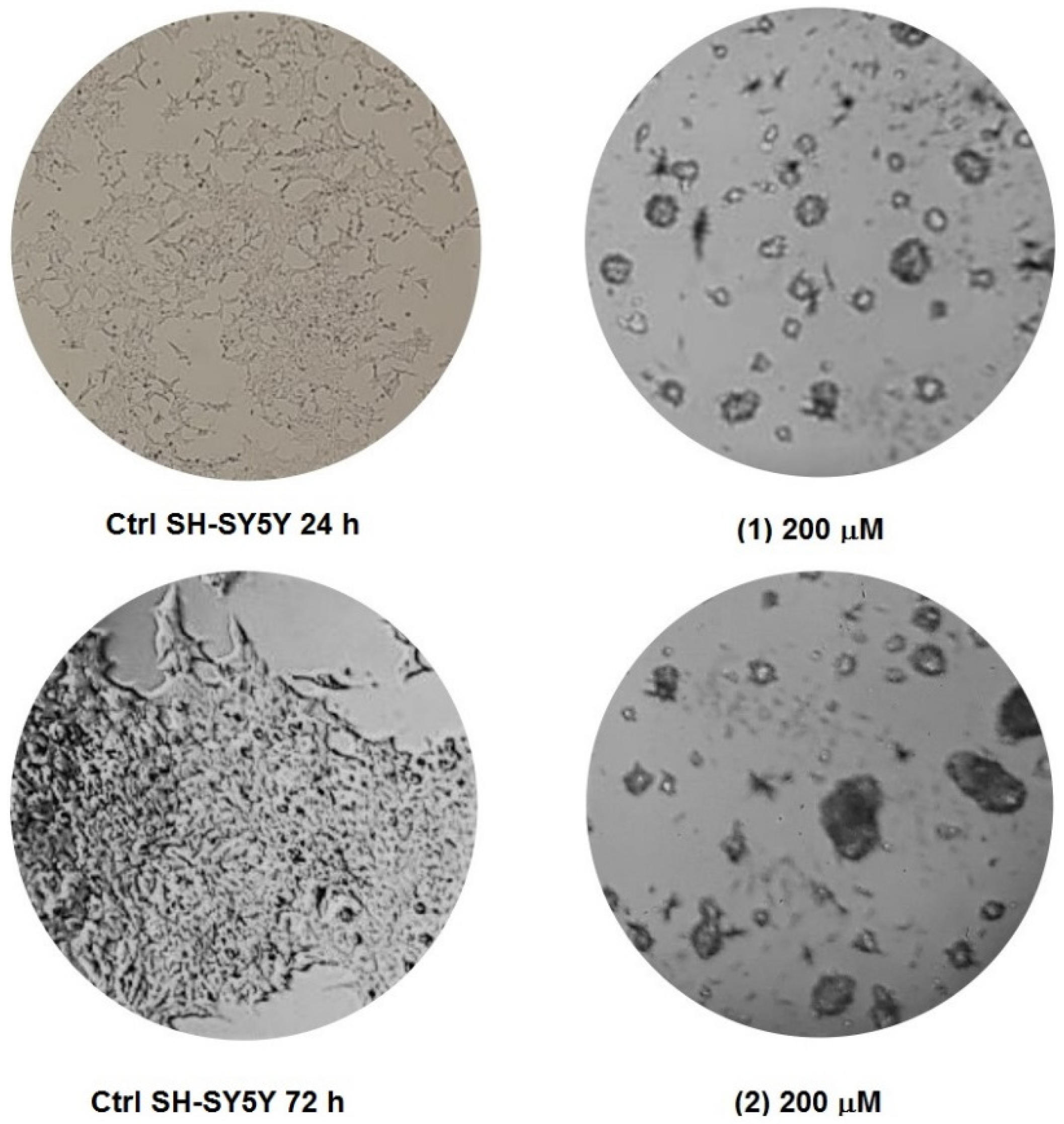 Applsci 12 07779 g007