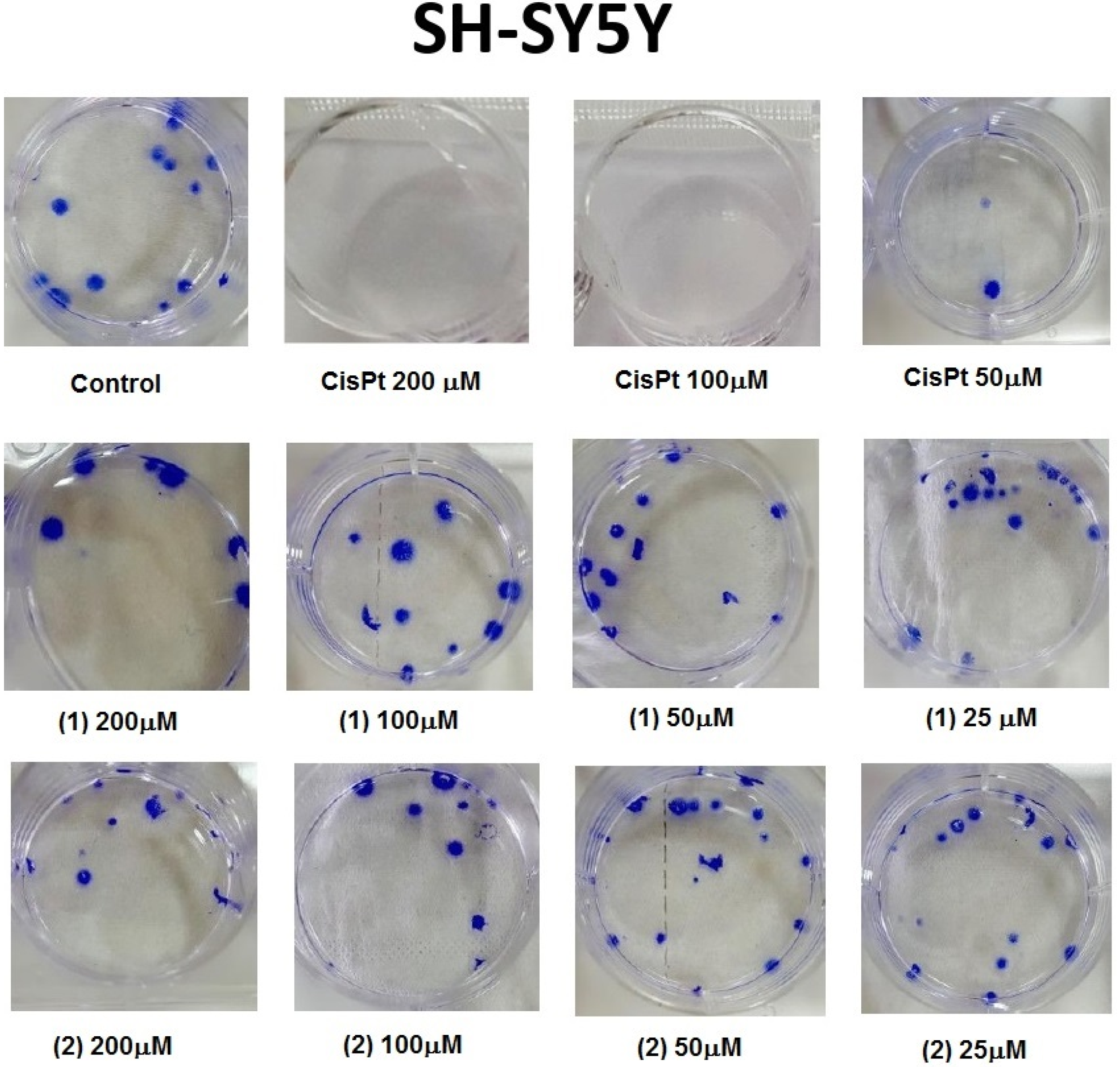 Applsci 12 07779 g009