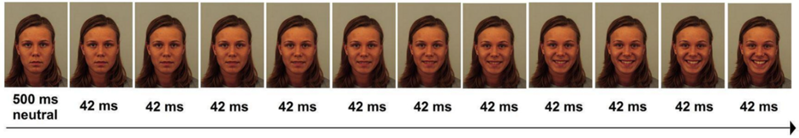 Applsci 12 07782 g001