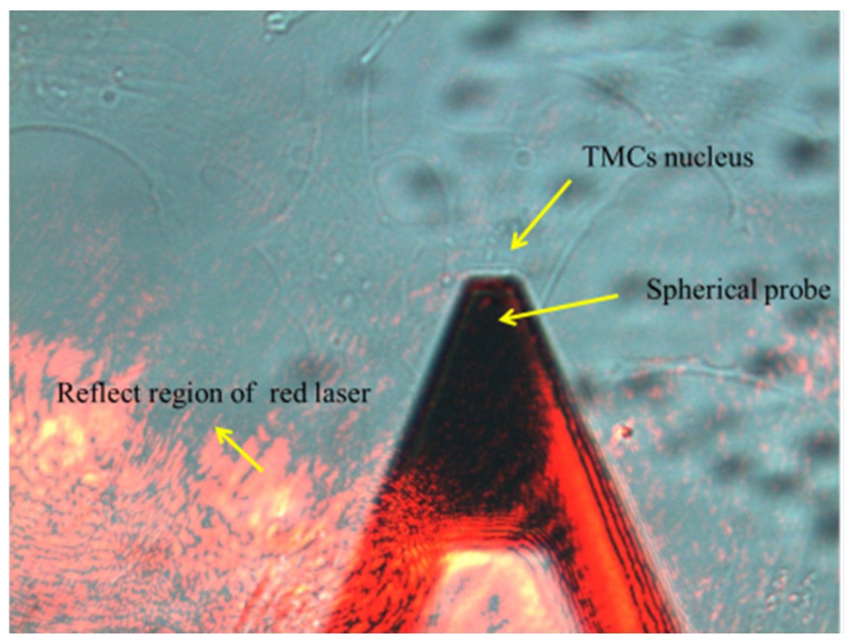 Applsci 12 07862 g001