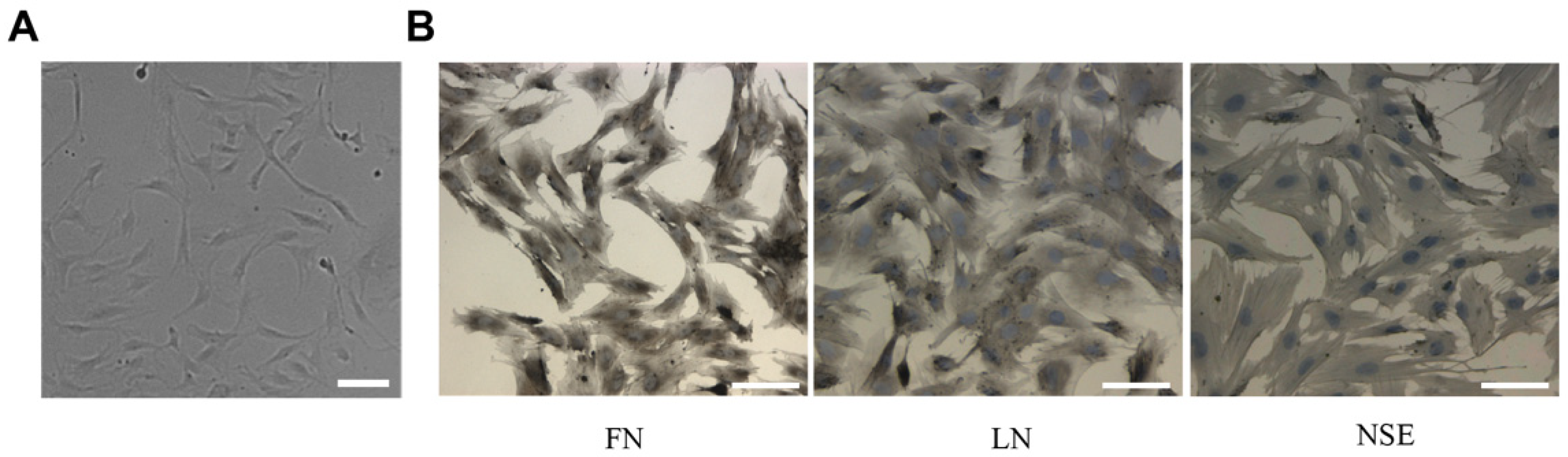 Applsci 12 07862 g003