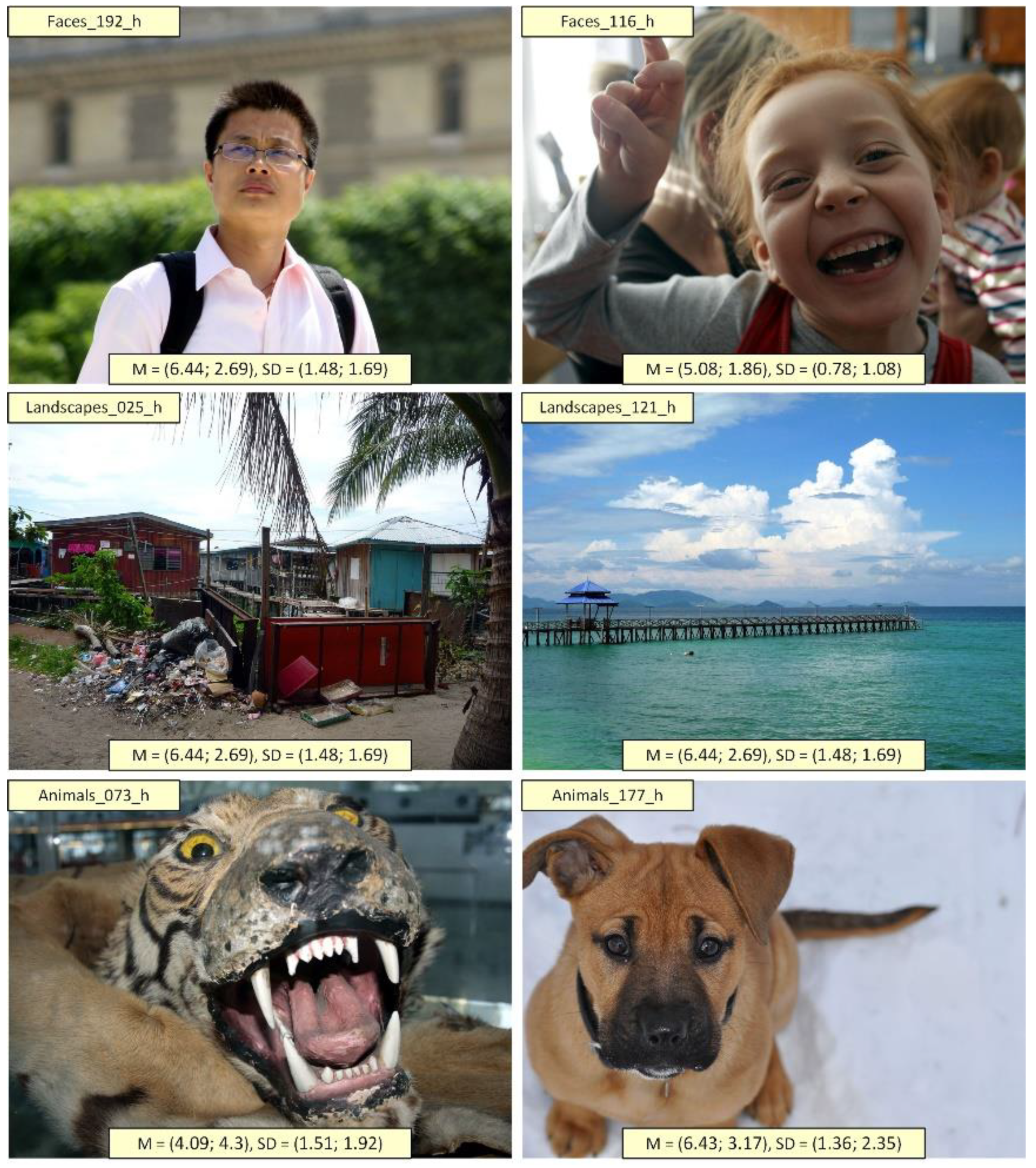 Applsci 12 07864 g003