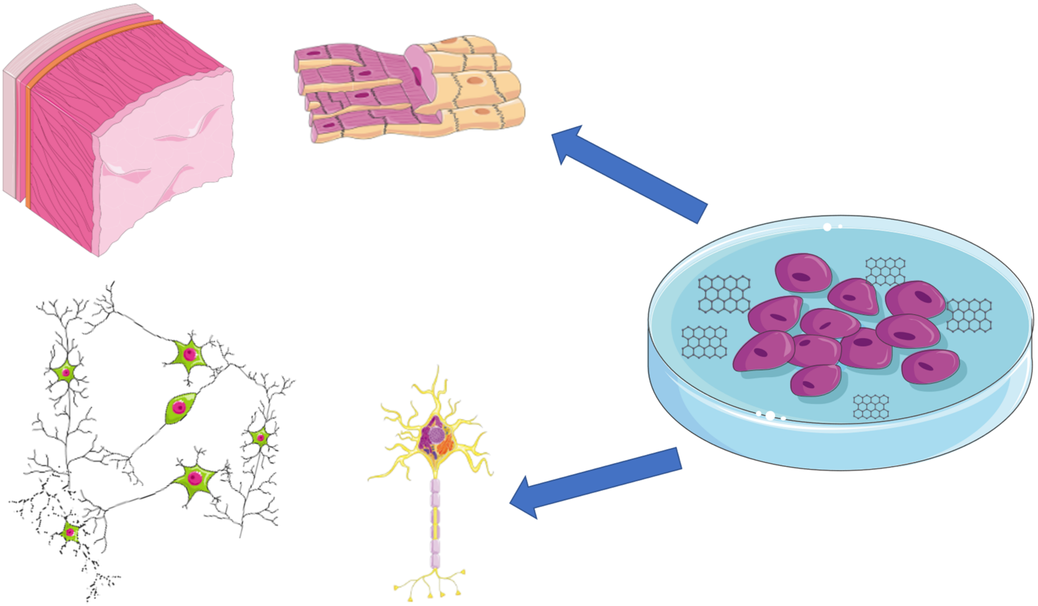 Applsci 12 07865 g005