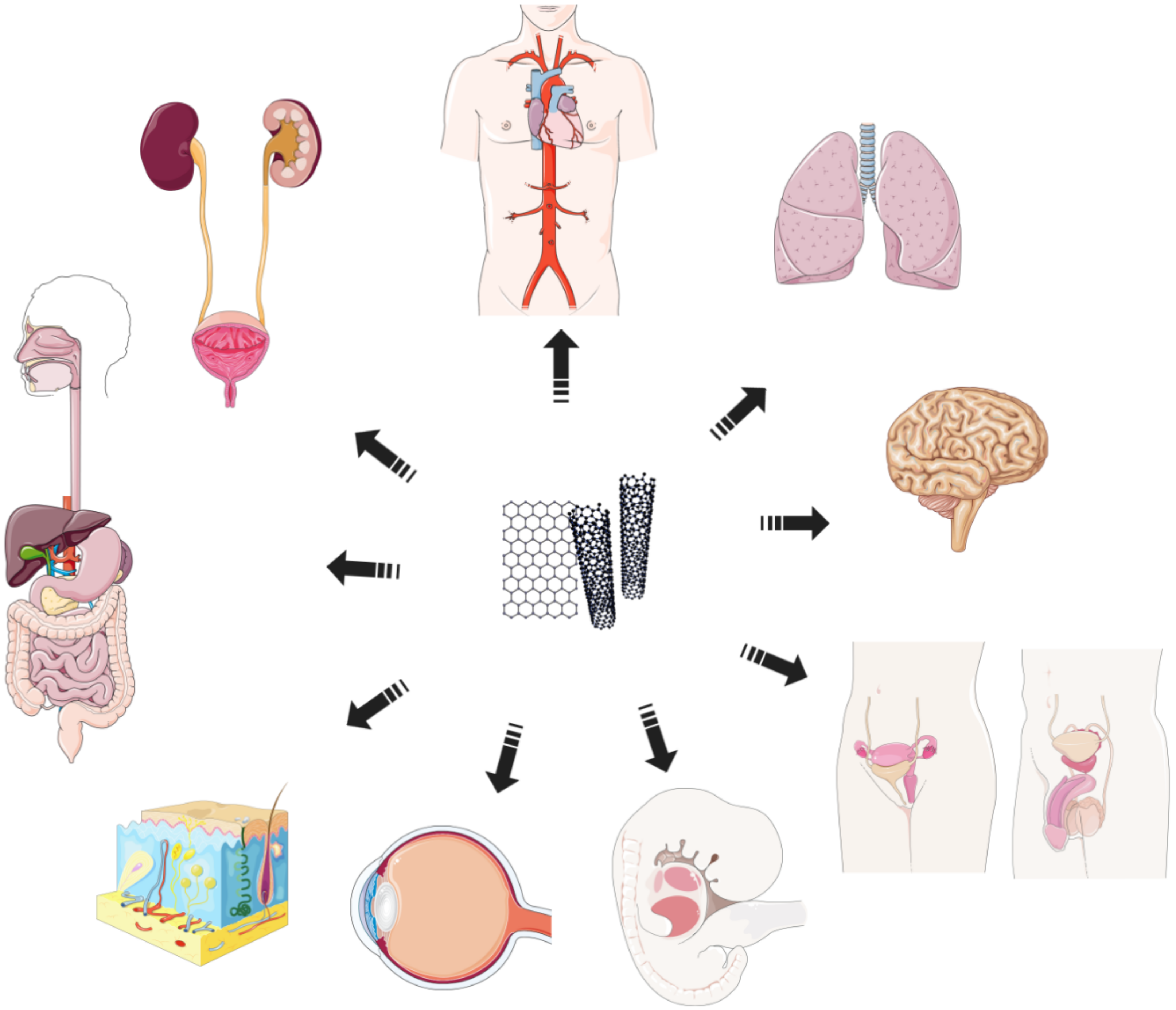 Applsci 12 07865 g006