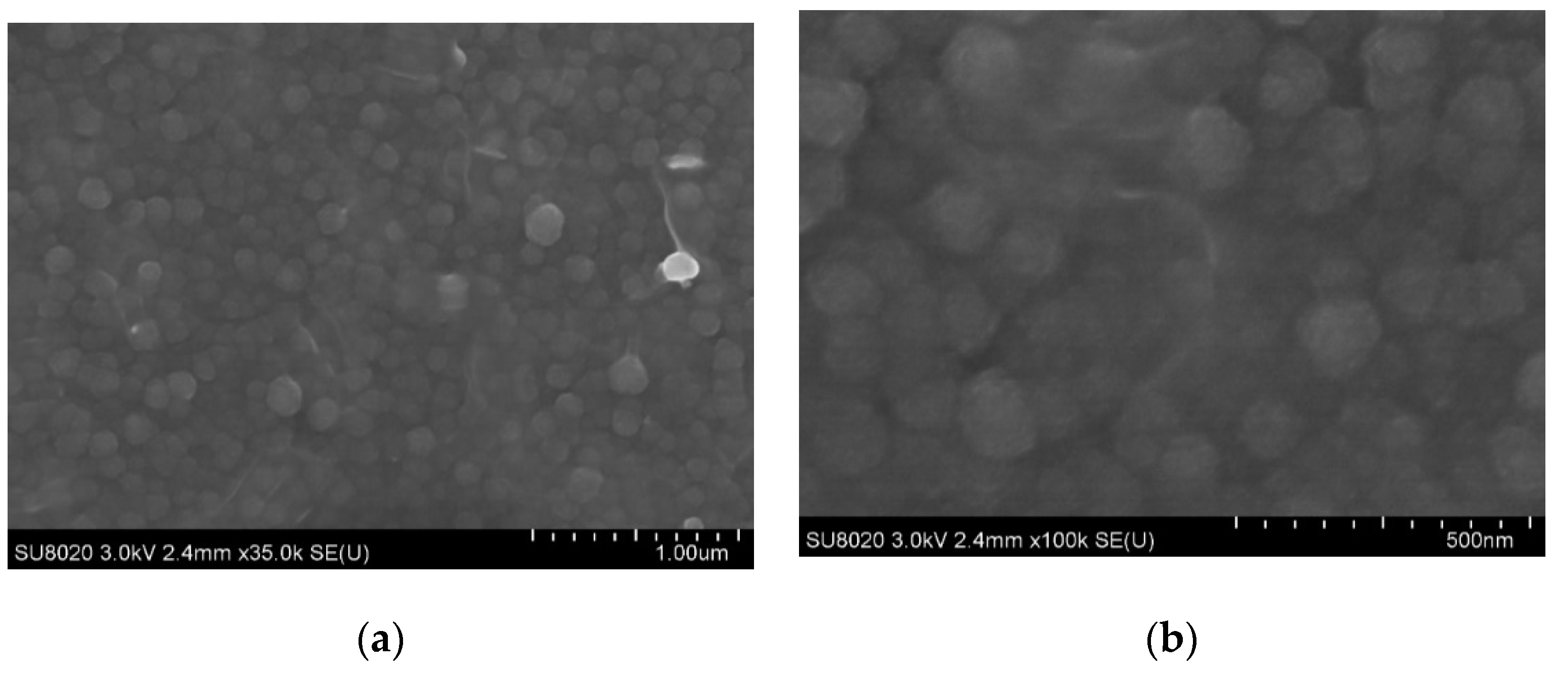 Applsci 12 07914 g005