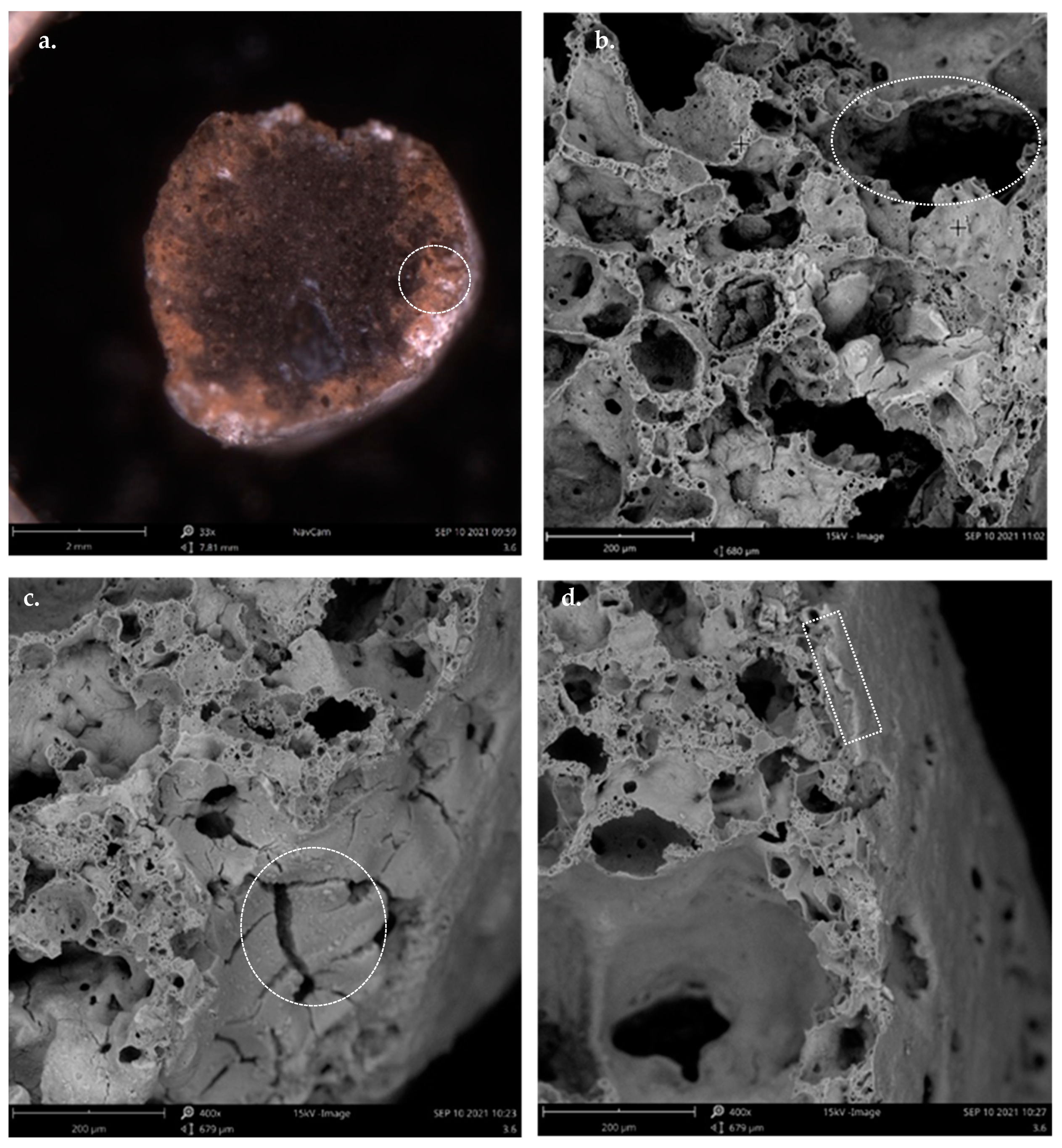 Applsci 12 07941 g007