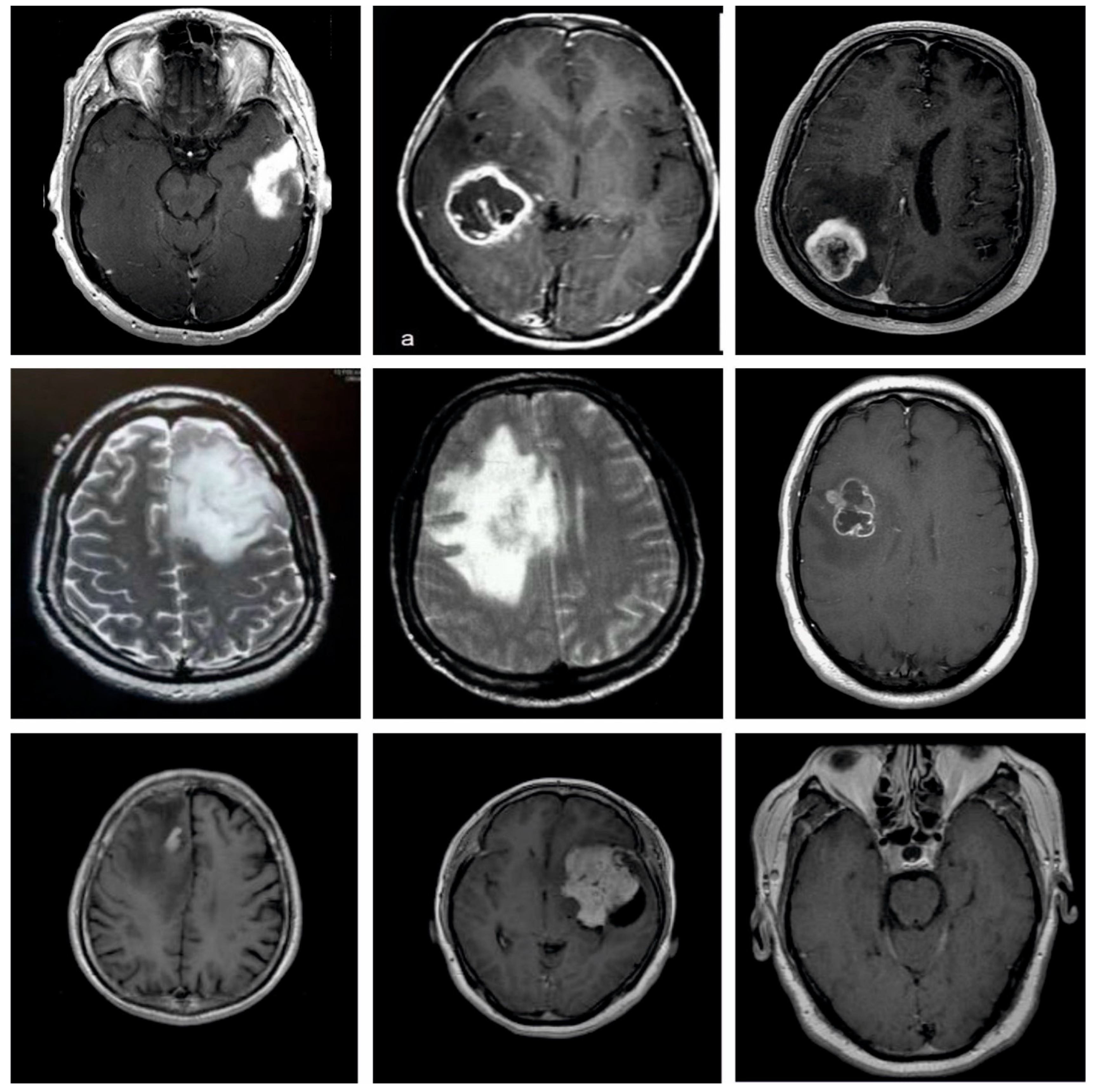 Applsci 12 07953 g003