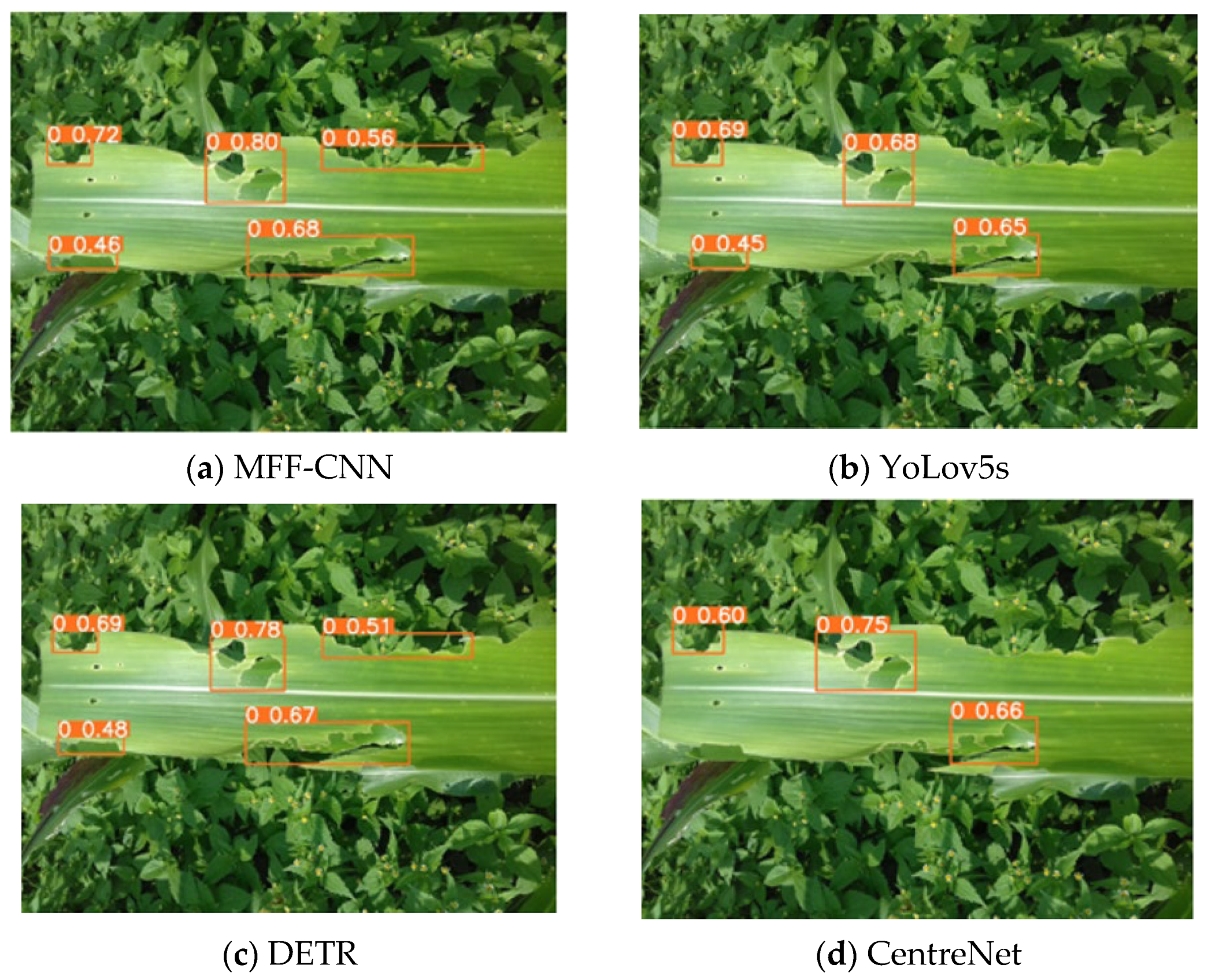 Applsci 12 07960 g012