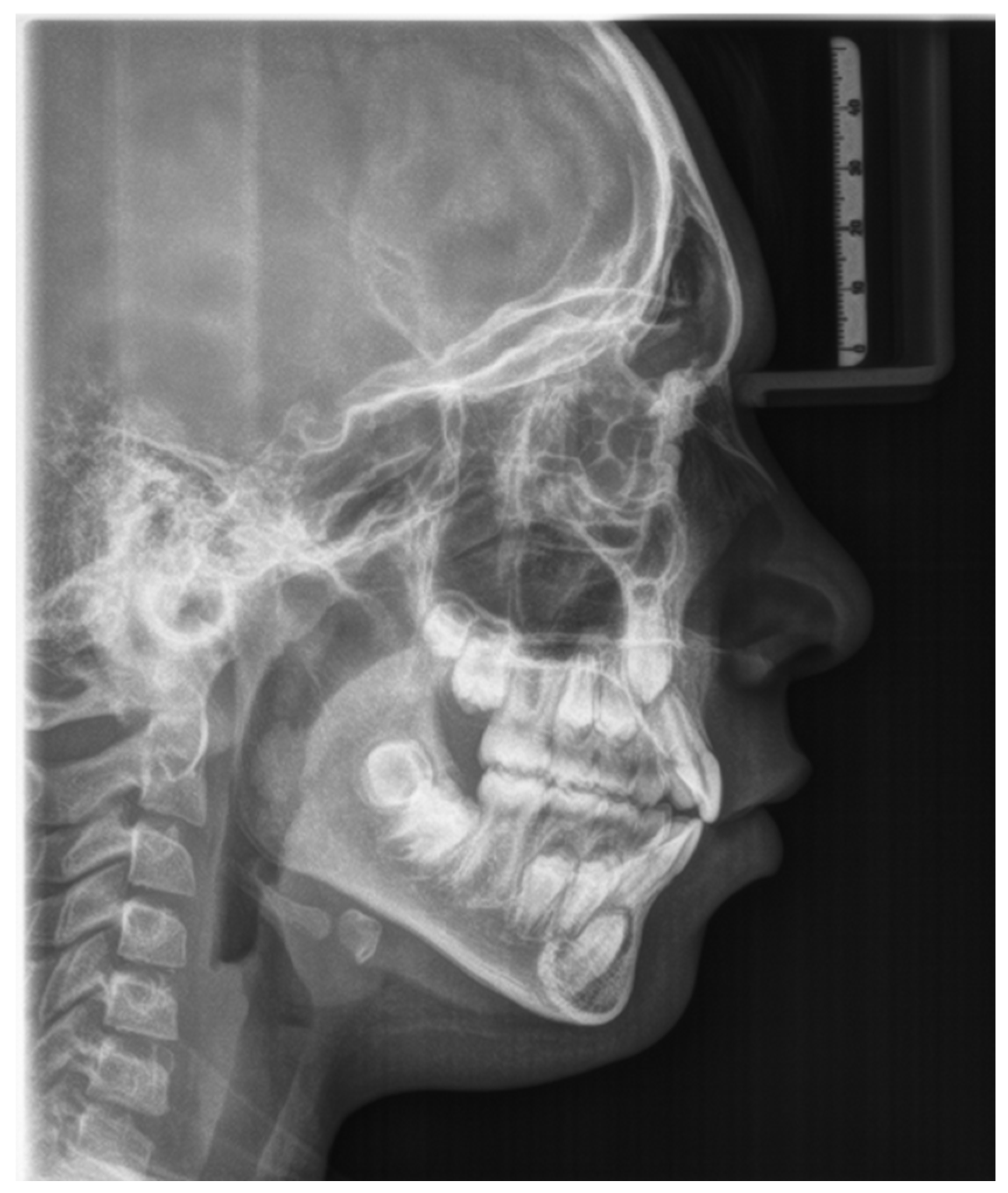 Applsci 12 08008 g006