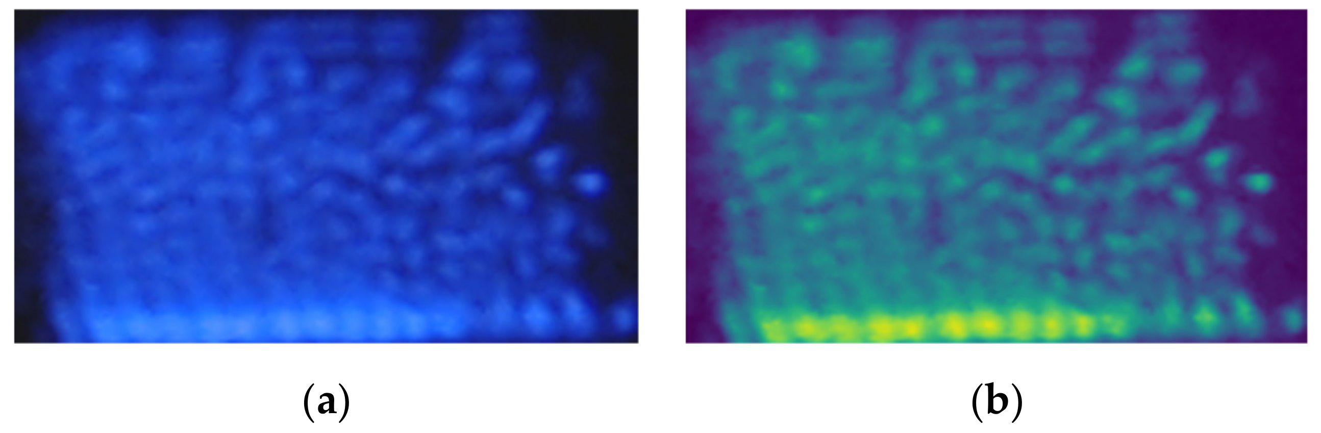 Applsci 12 08009 g005