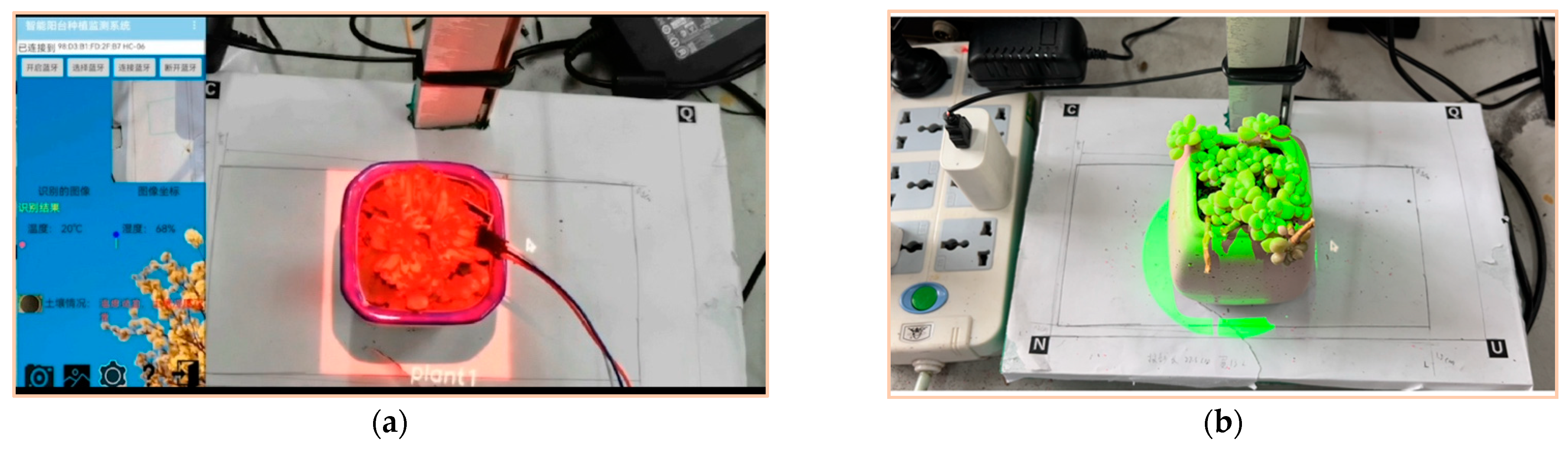 Applsci 12 08019 g008