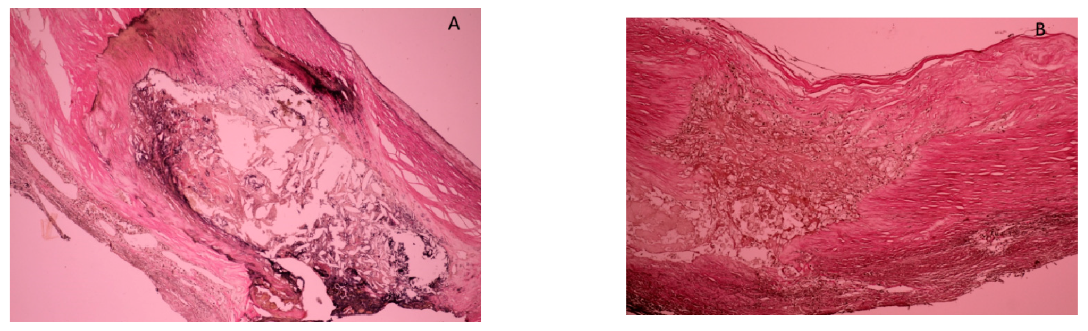 Applsci 12 08040 g001