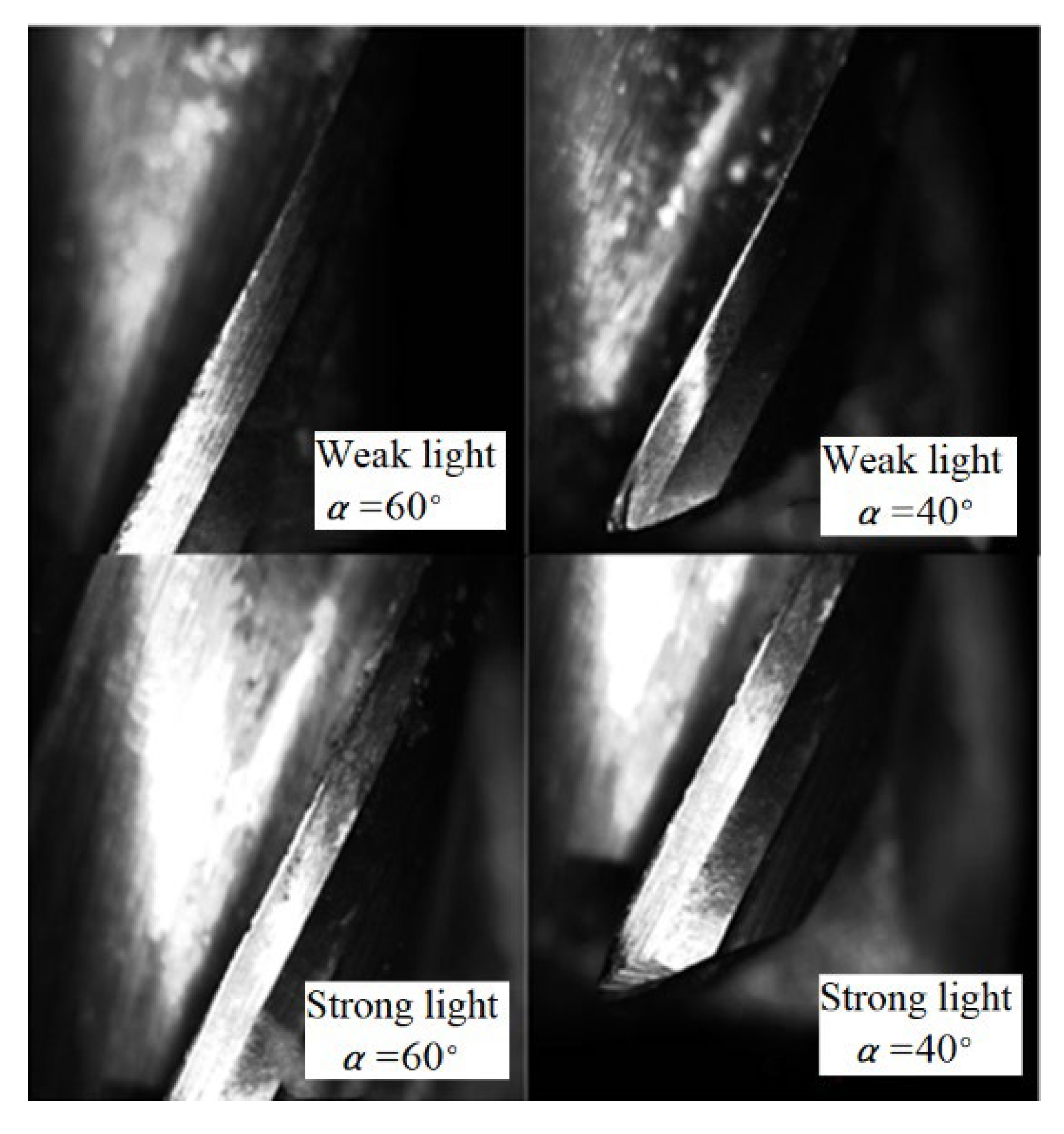 Applsci 12 08100 g008