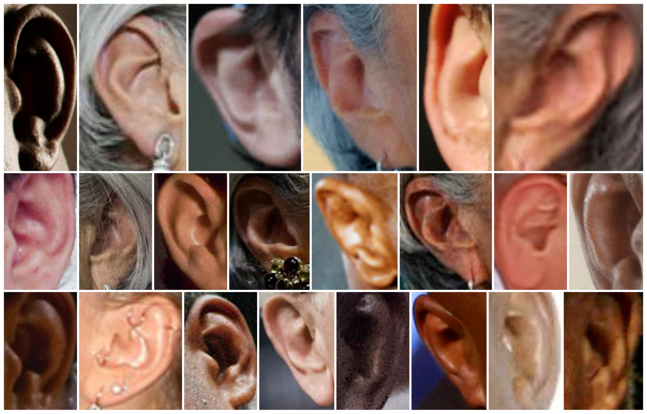 Applsci 12 08155 g003