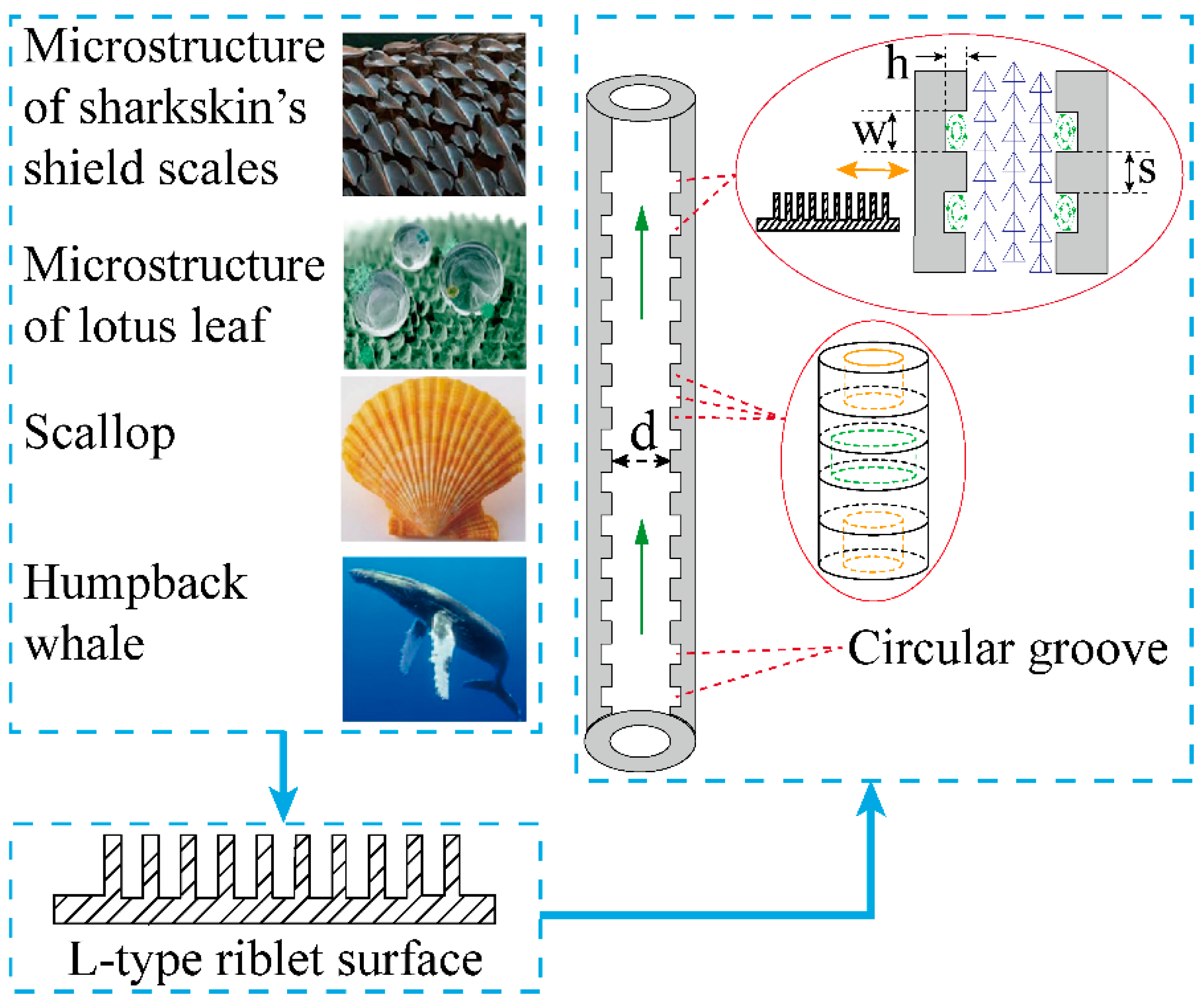 Applsci 12 08159 g002