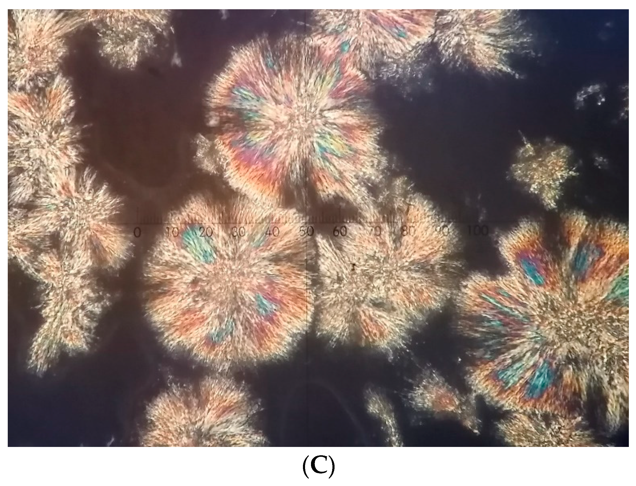 Applsci 12 08180 g002b Applsci 12 08180 g002b