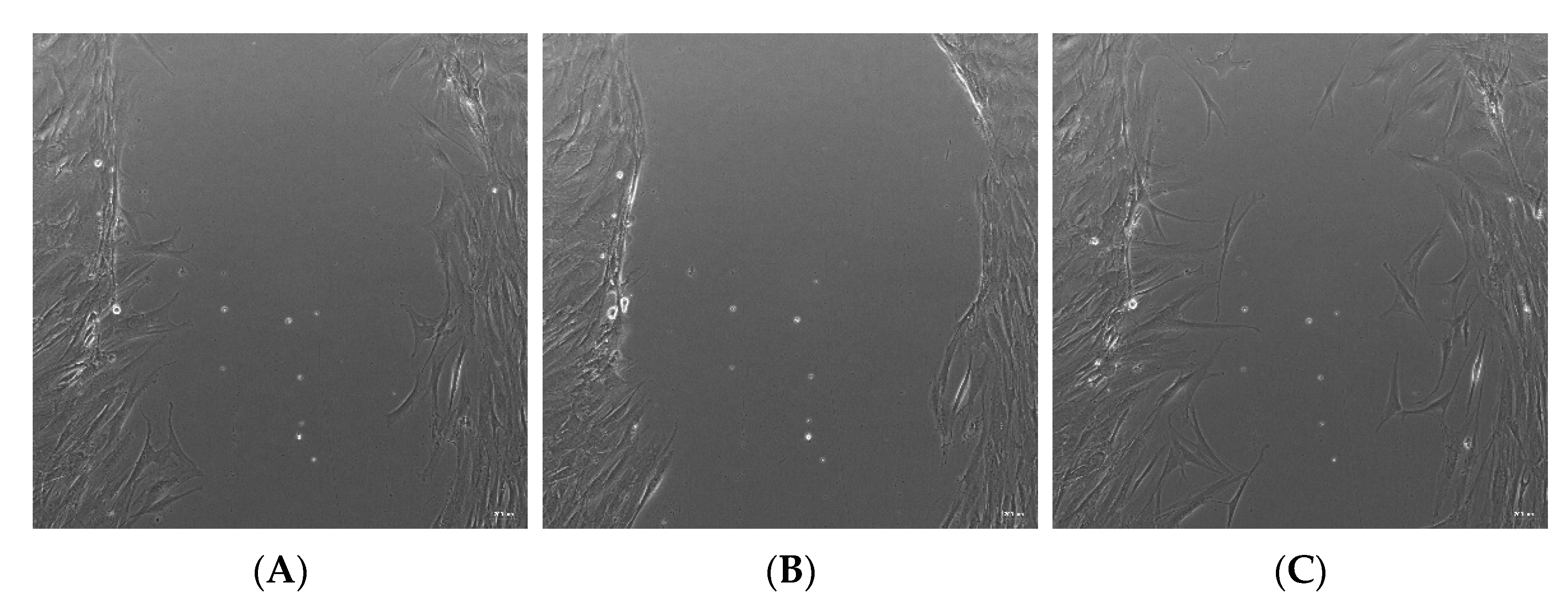 Applsci 12 08183 g003