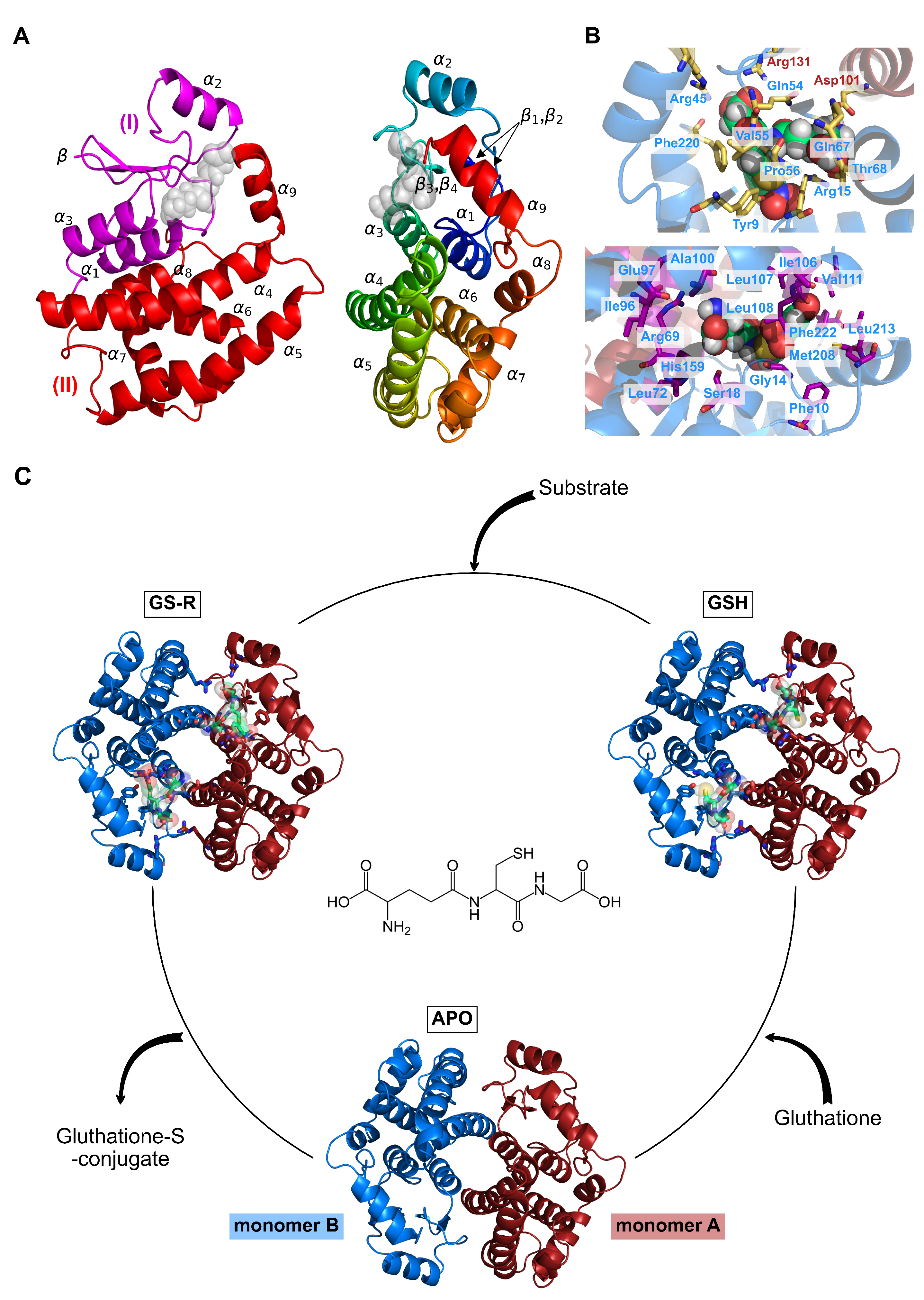 Applsci 12 08196 g001