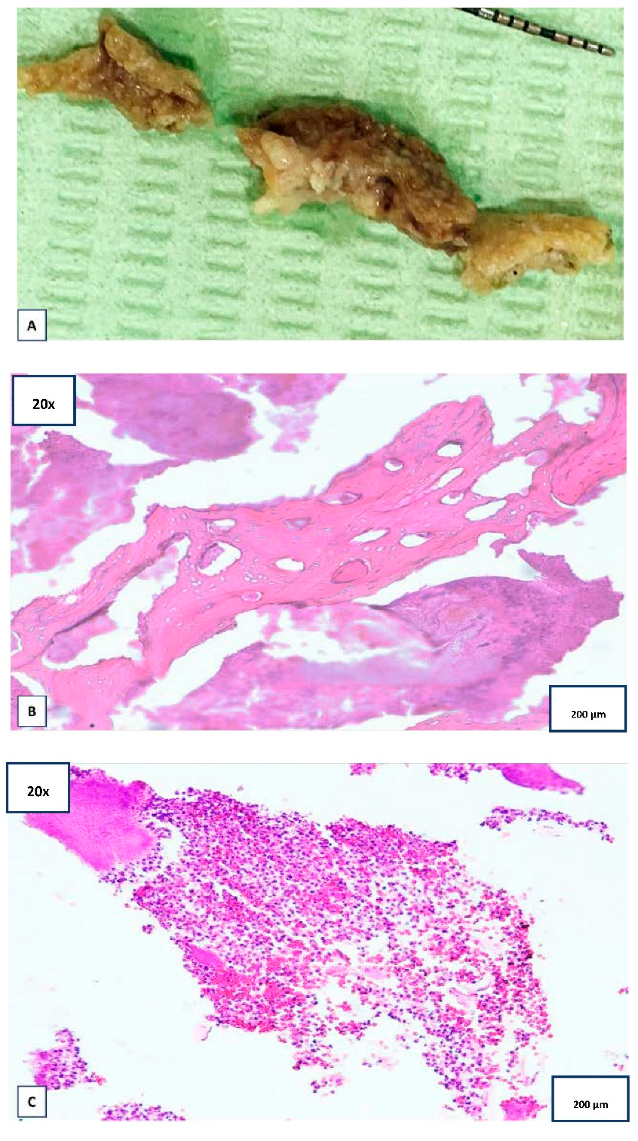 Applsci 12 08202 g003