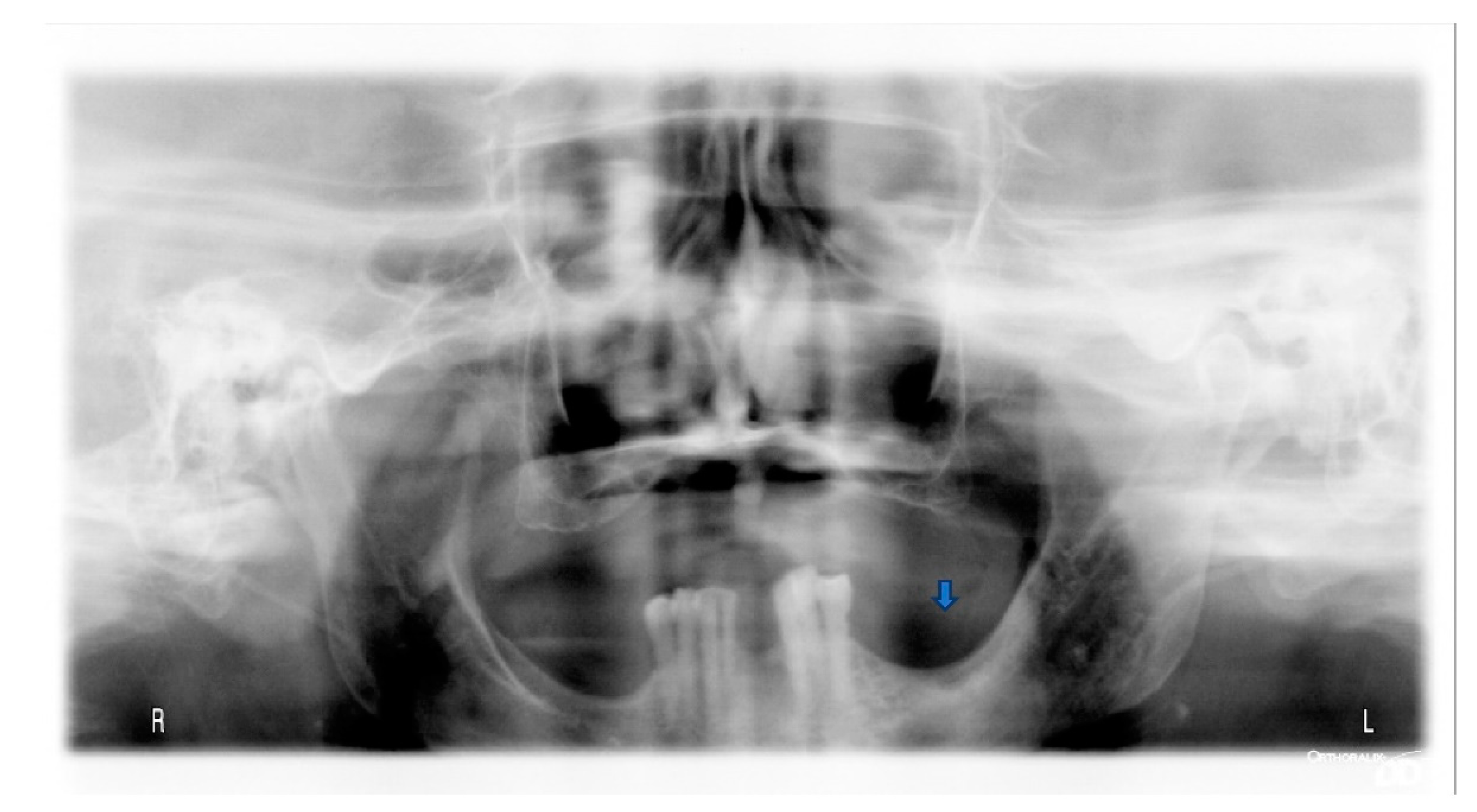 Applsci 12 08202 g004