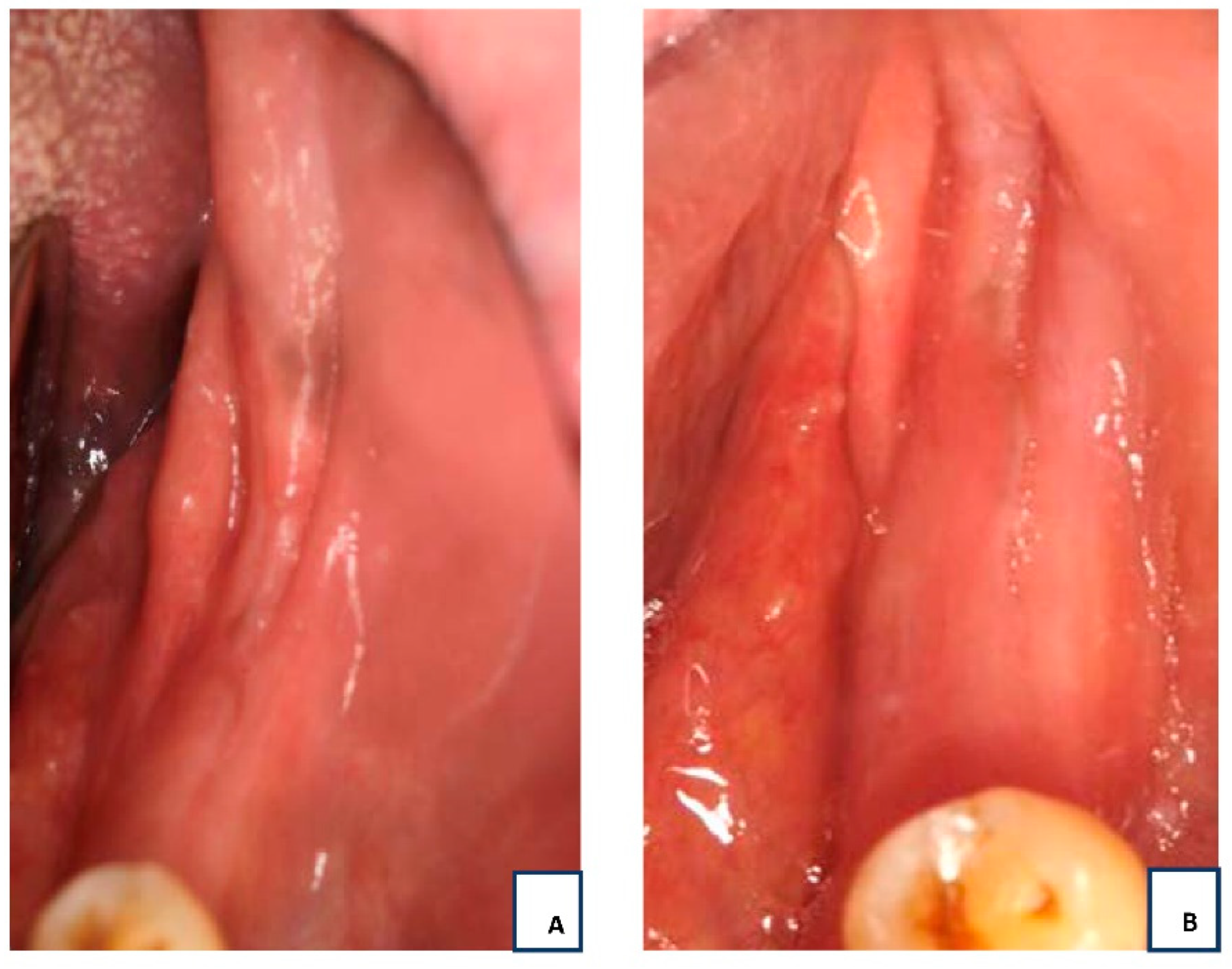 Applsci 12 08202 g005