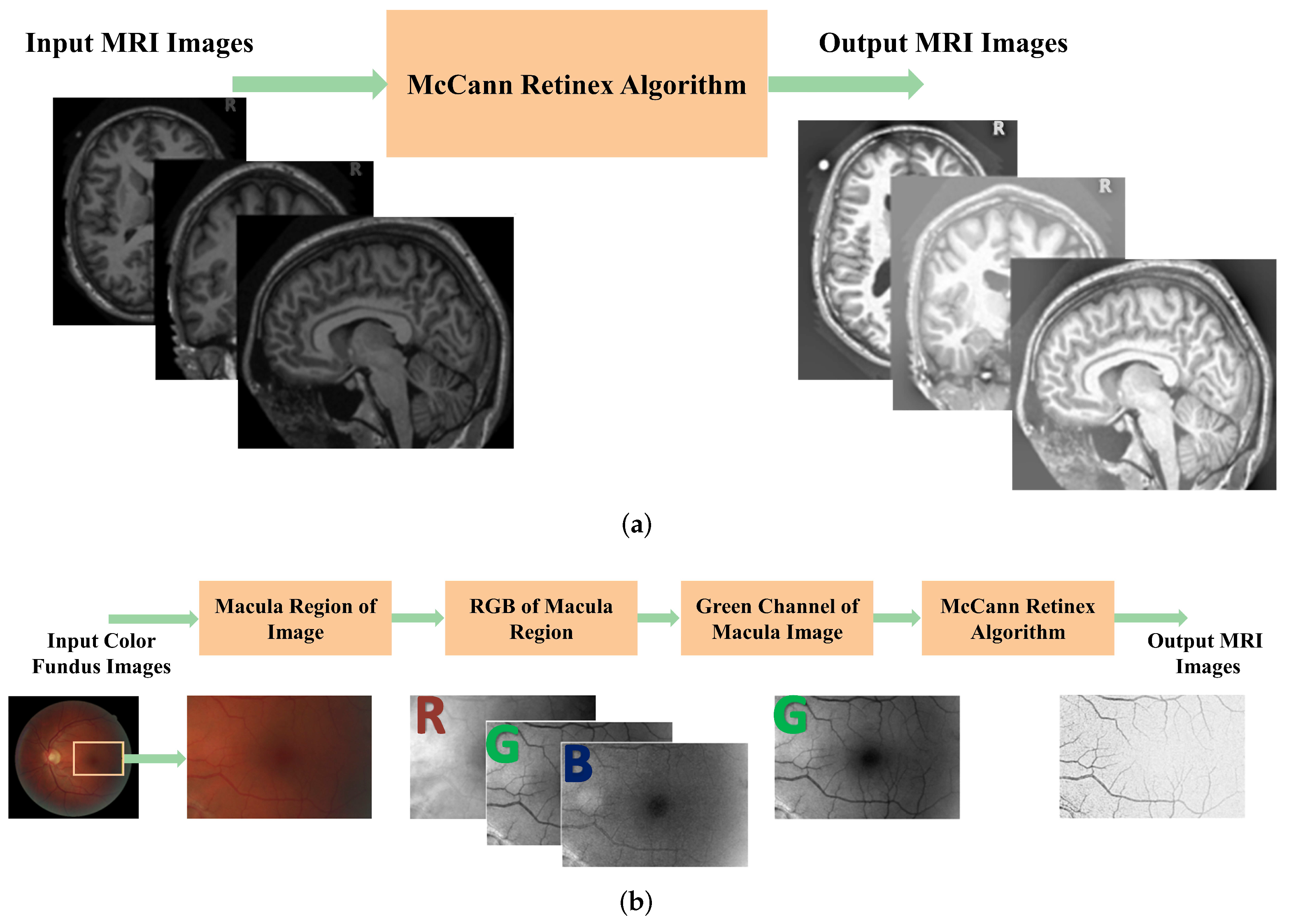 Applsci 12 08243 g001
