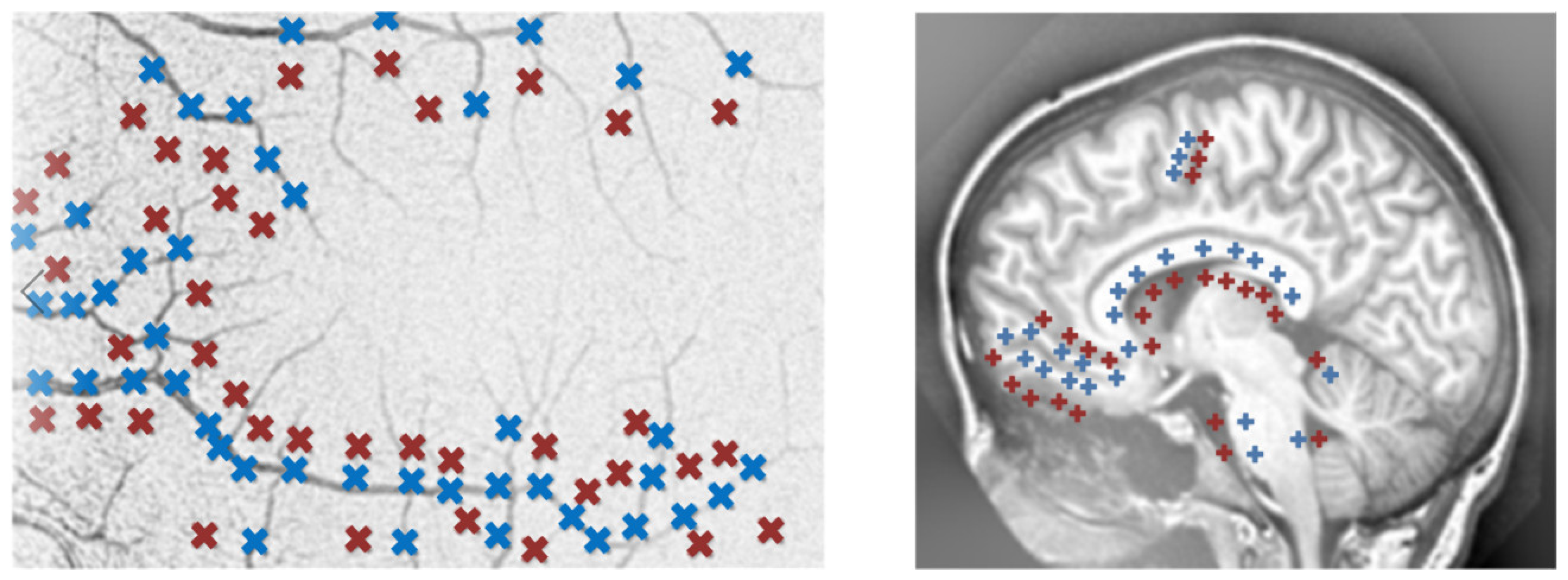 Applsci 12 08243 g003