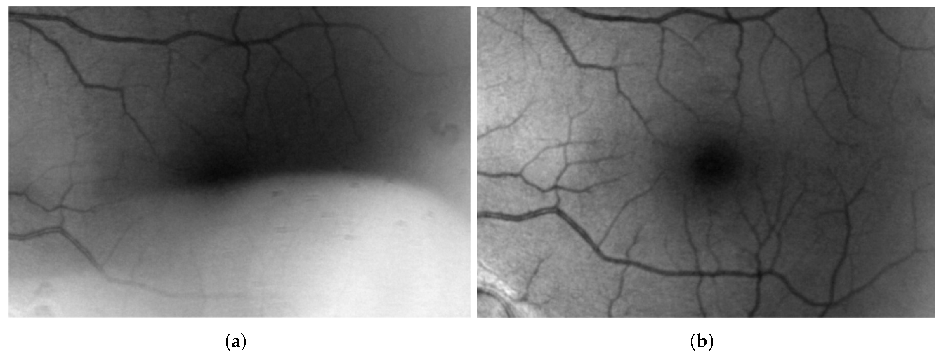 Applsci 12 08243 g004