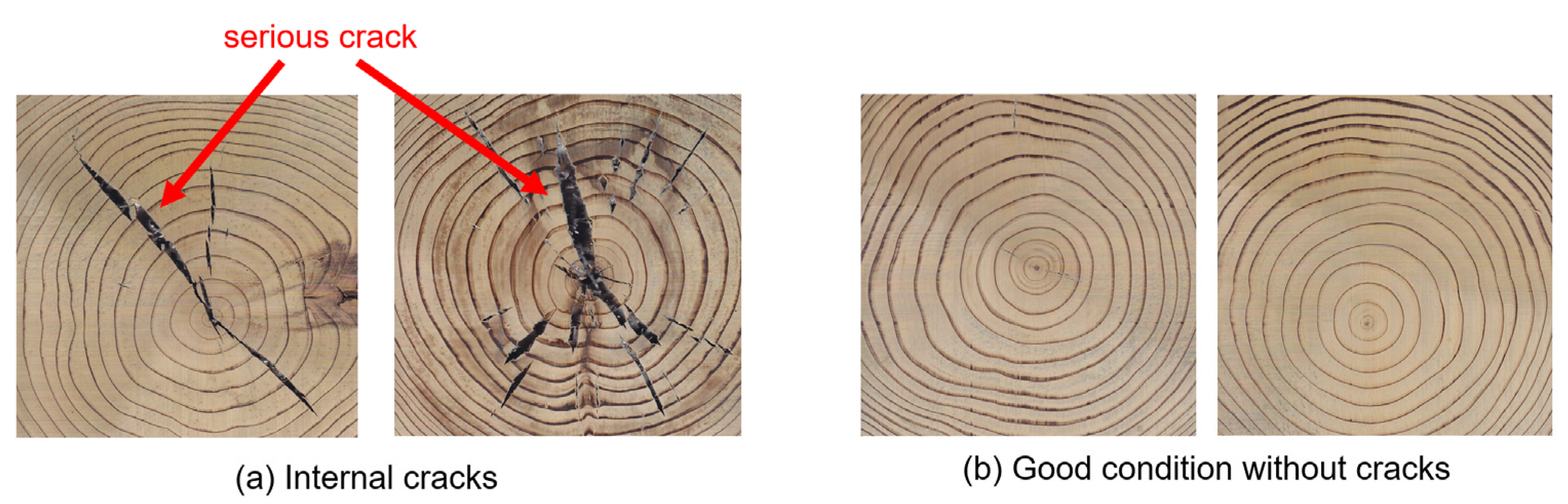 Applsci 12 08250 g001 Applsci 12 08250 g001