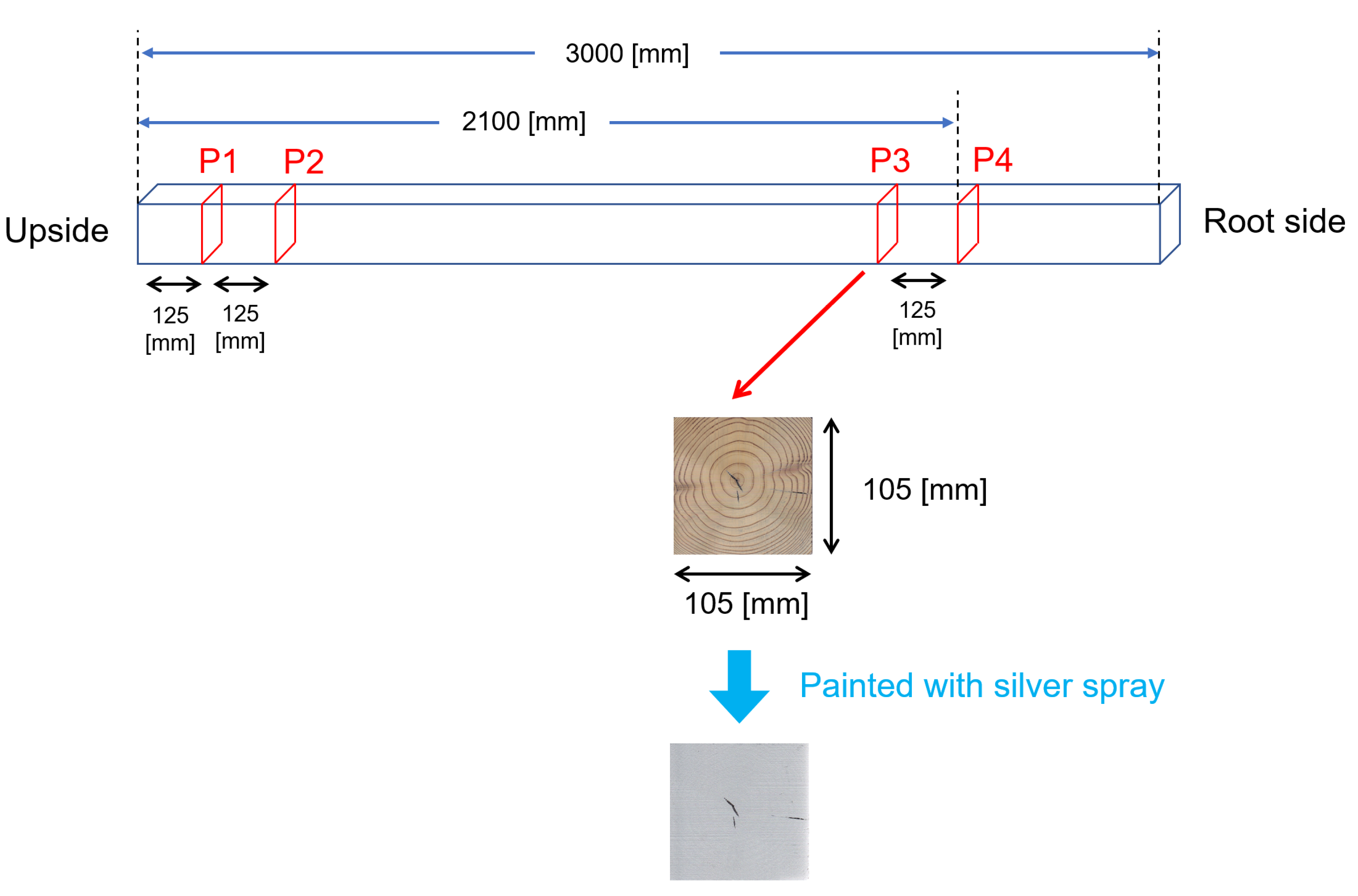 Applsci 12 08250 g003 Applsci 12 08250 g003