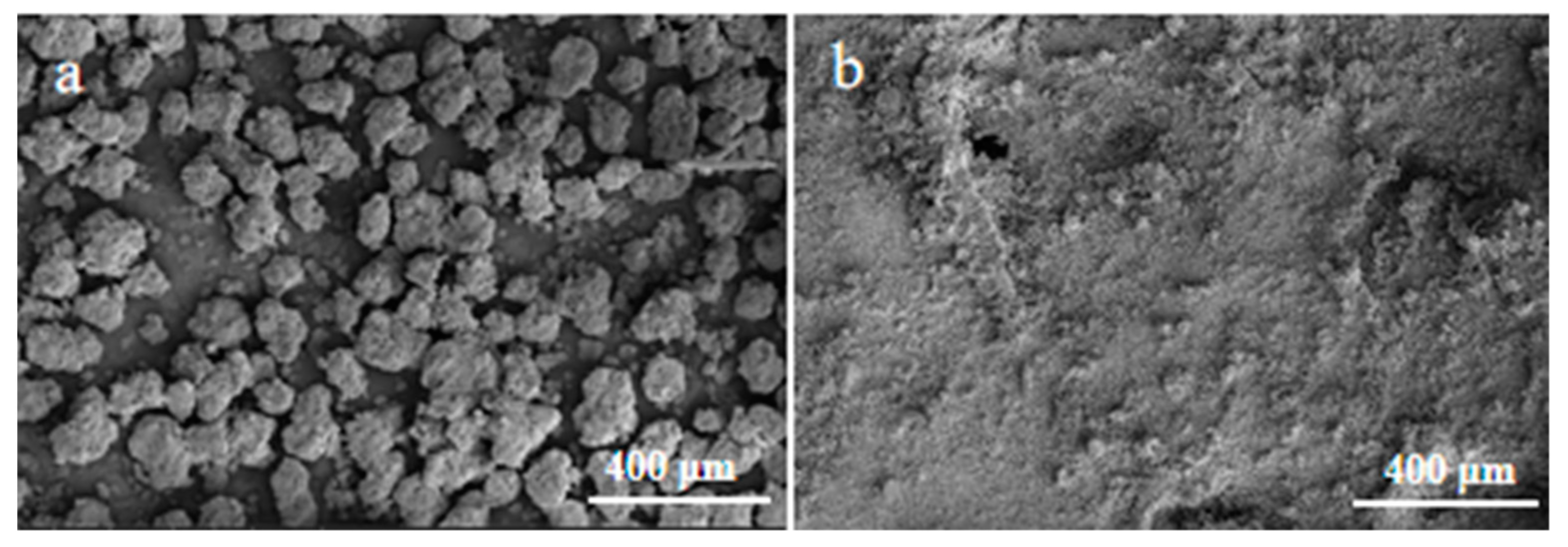 Applsci 12 08253 g003 Applsci 12 08253 g003