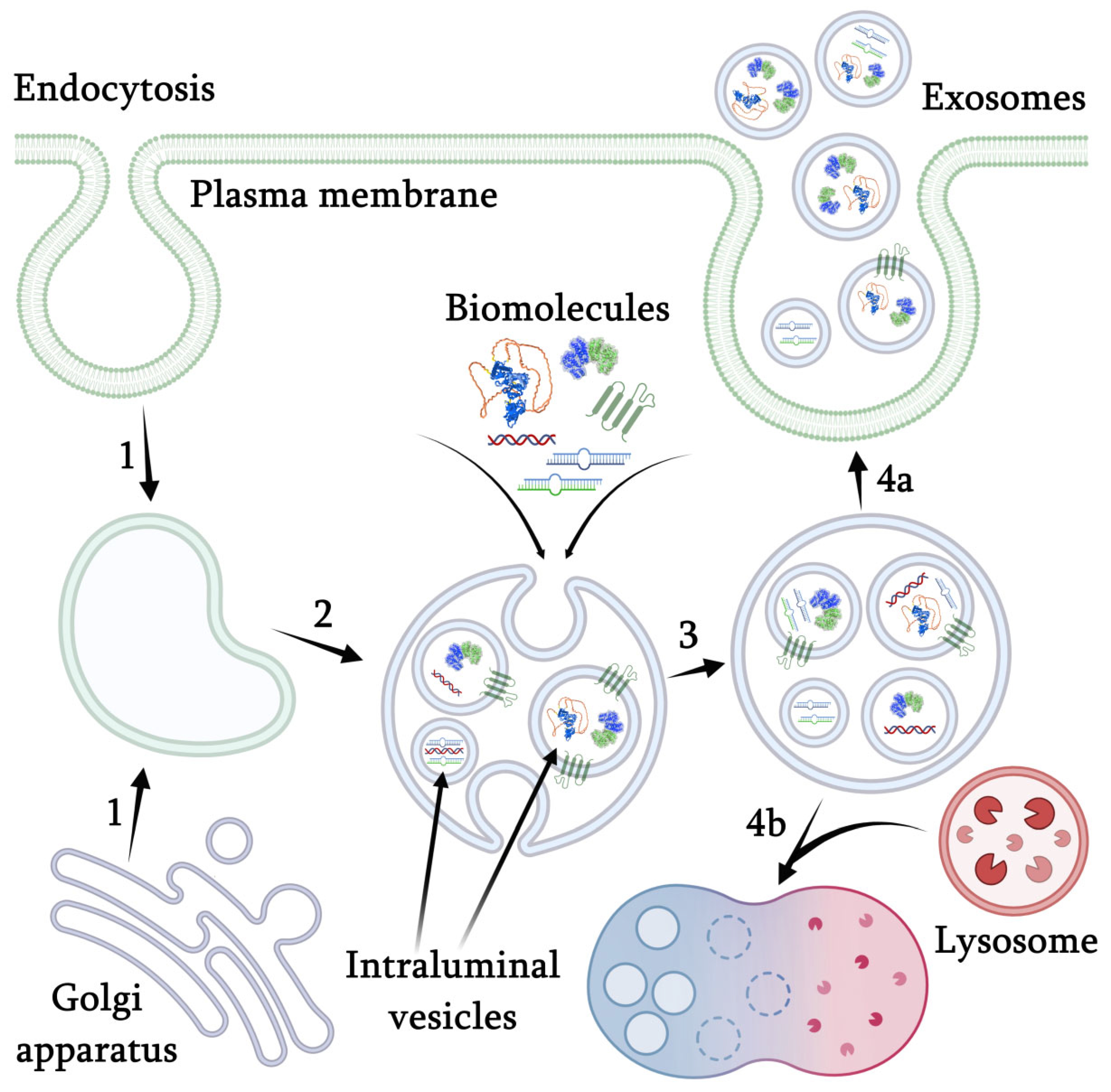 Applsci 12 08262 g001